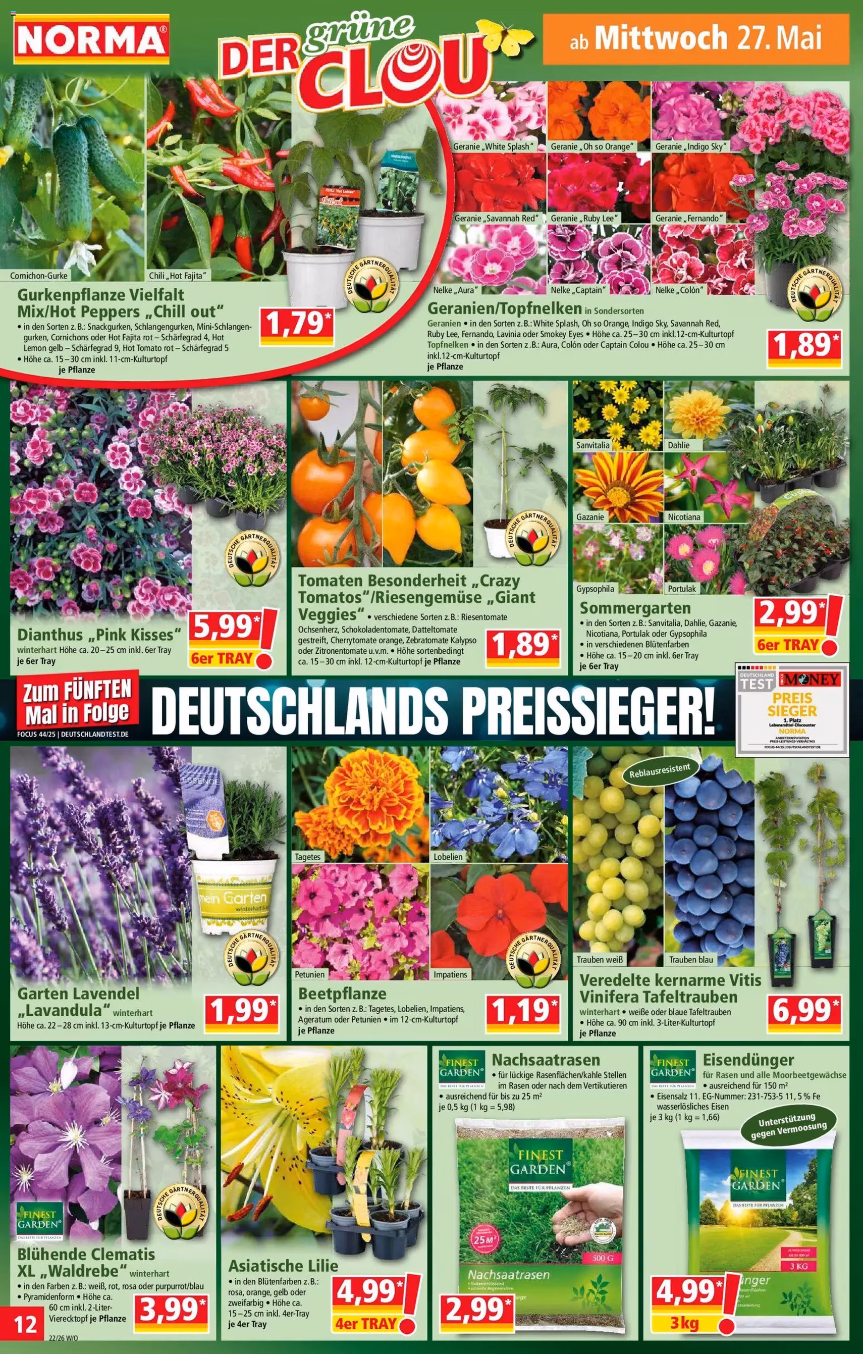 Norma Prospekt - Gültiger Prospekt ab 26.05.2026, Seite 12 von insgesamt 19