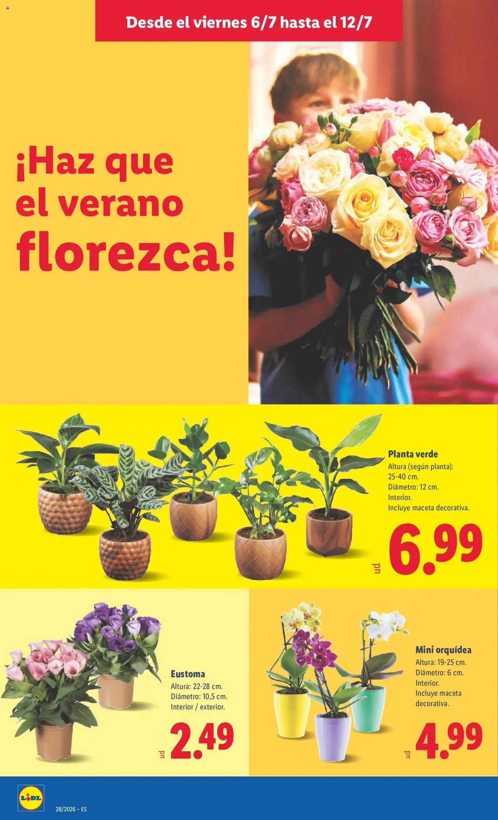 Lidl folleto - folleto válido desde 06/07/2026 página 58 de 59