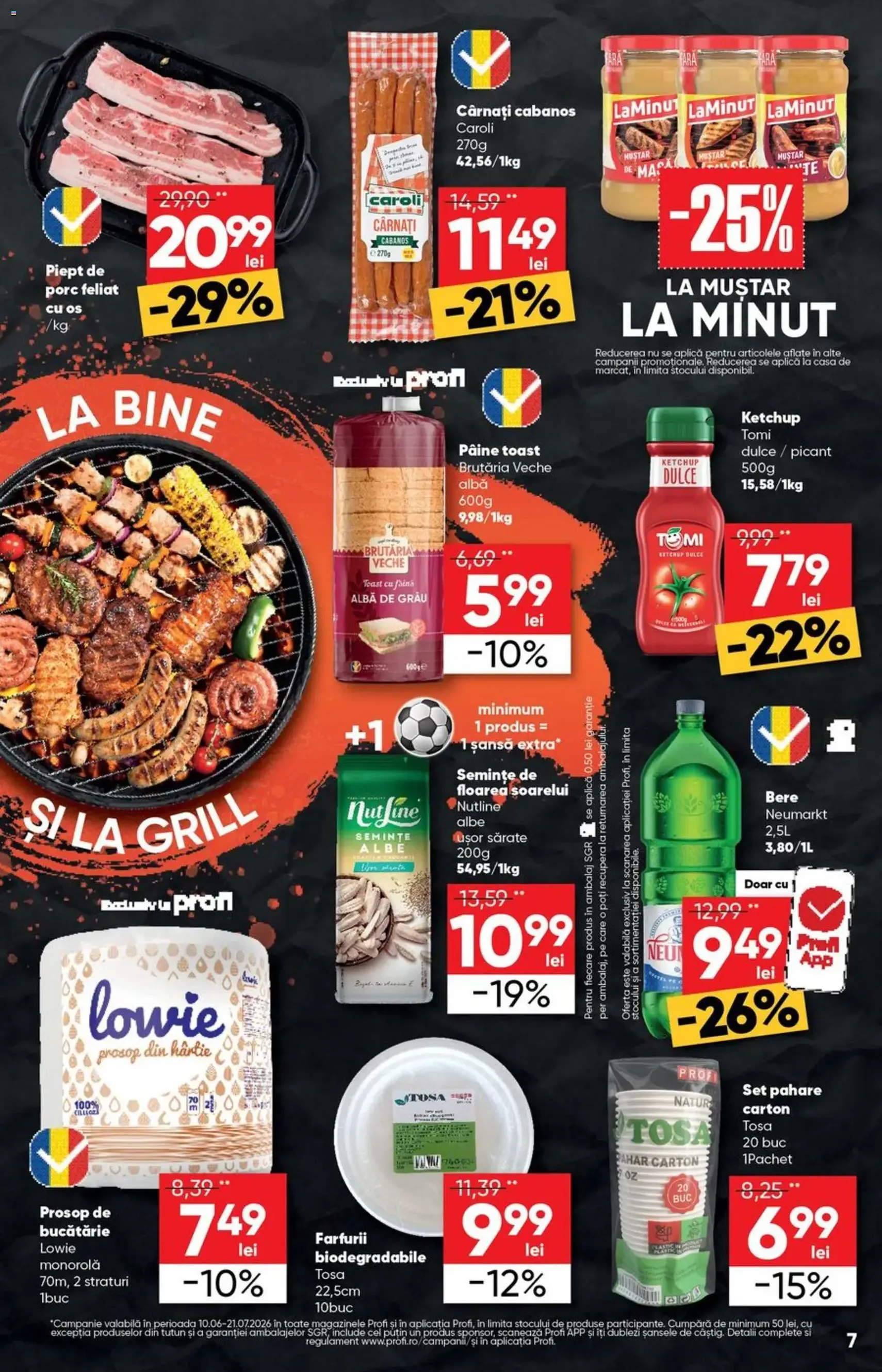Profi Catalog - cataloage valabile începând cu 10.06.2026 pagina 7 din 21