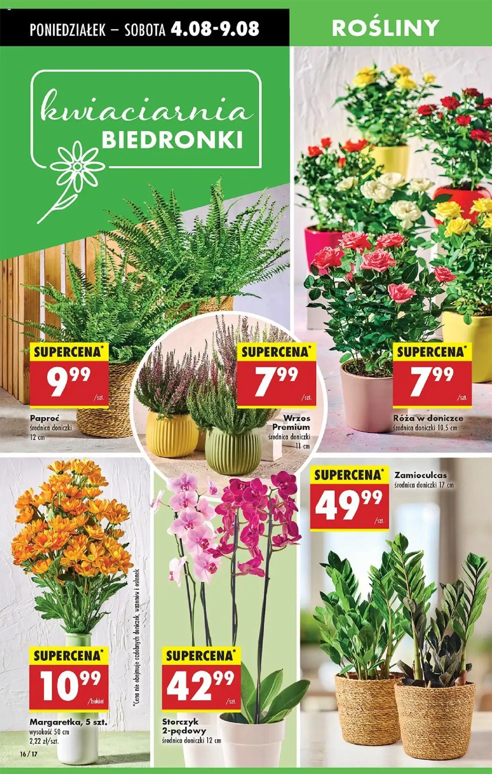 Biedronka gazetka - ważny gazetka od 04.08.2025 strona 21 z 80