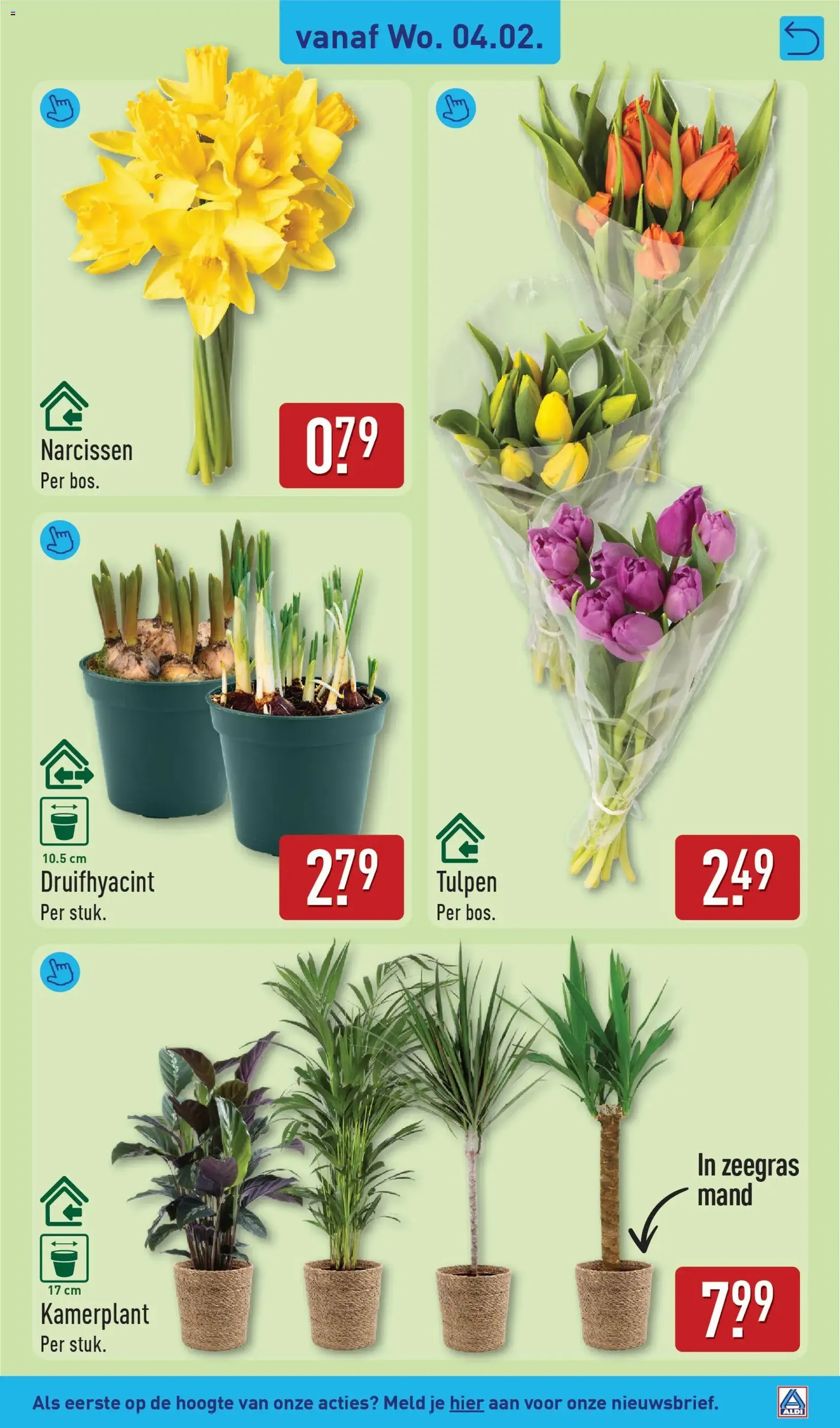 Aldi - Folder week 6 - geldige folder vanaf 02-02-2026 pagina 31 van 59