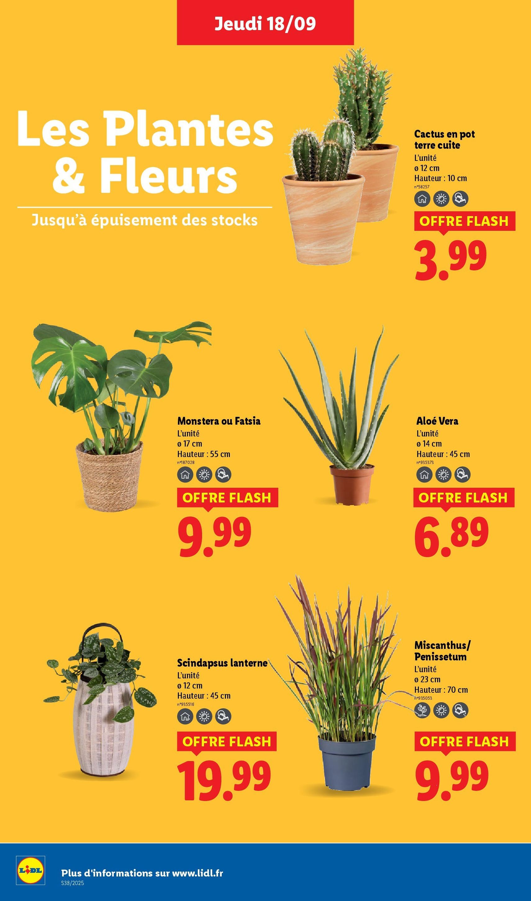 LIDL catalogue semaine 38 - brochure valable à partir du 18/09/2025, page 30 sur 75