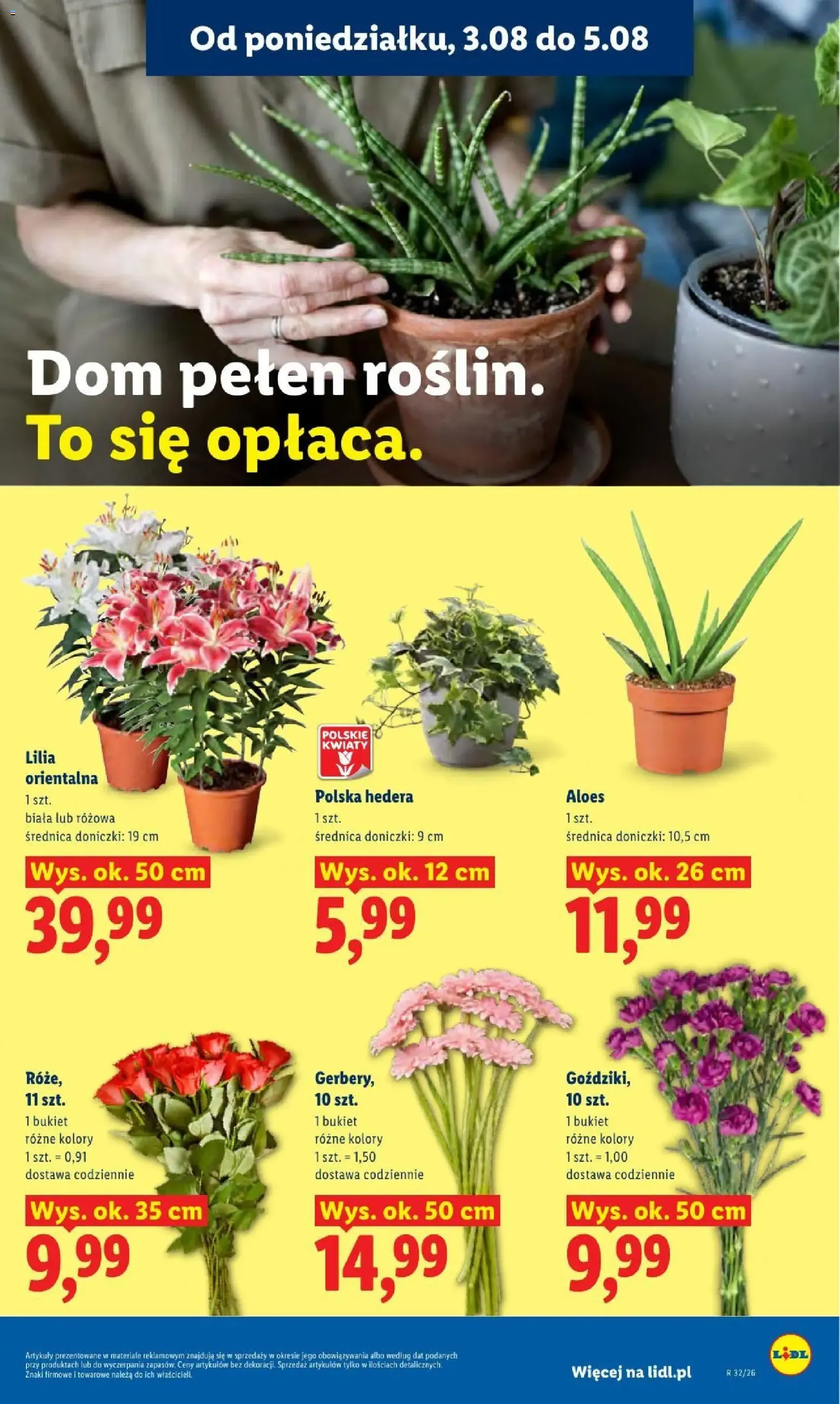 Lidl gazetka - ważny gazetka od 03.08.2026 strona 91 z 93