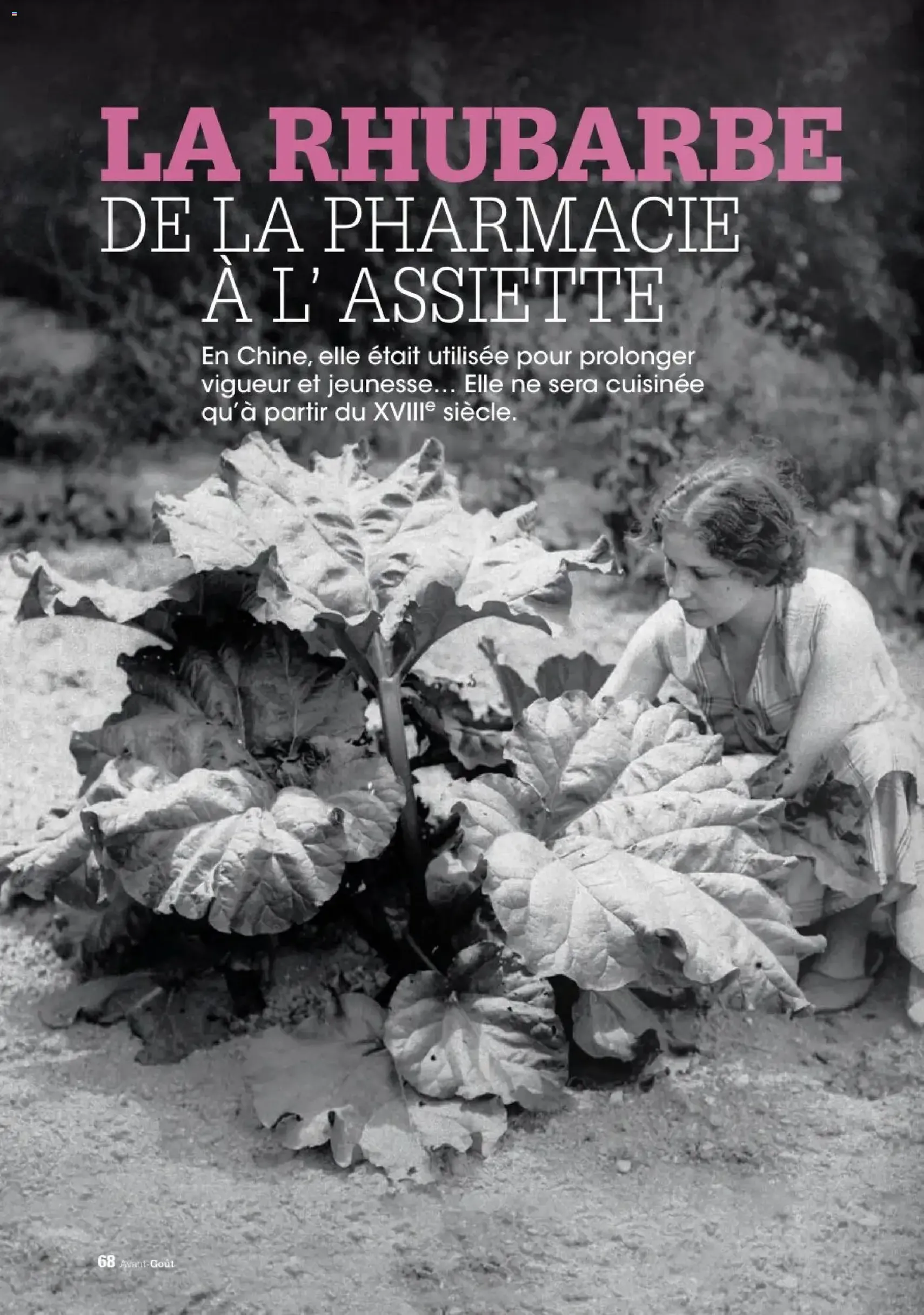 Grand Frais catalogue - brochure valable à partir du 02/06/2026, page 62 sur 70