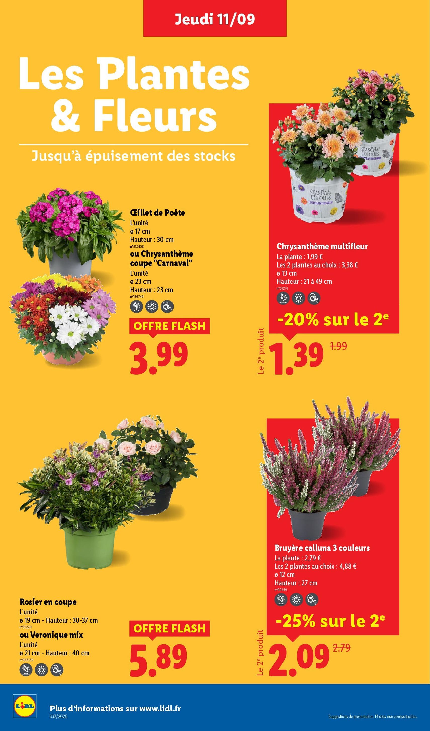 LIDL catalogue semaine 37 - brochure valable à partir du 11/09/2025, page 28 sur 76 LIDL catalogue semaine 37 - brochure valable à partir du 11/09/2025, page 28 sur 76