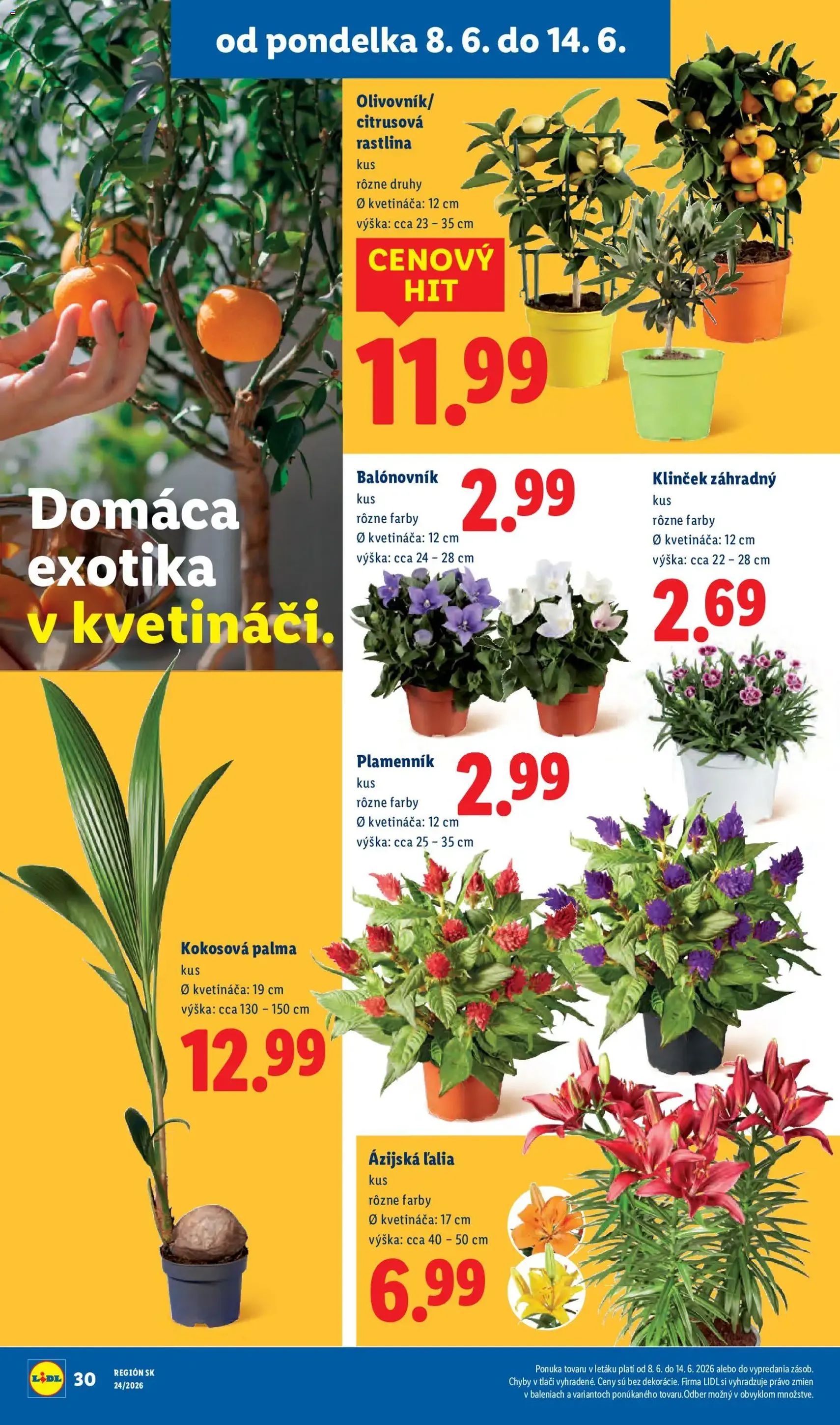 Lidl leták - platný leták od 08.06.2026 strana 44 z 99