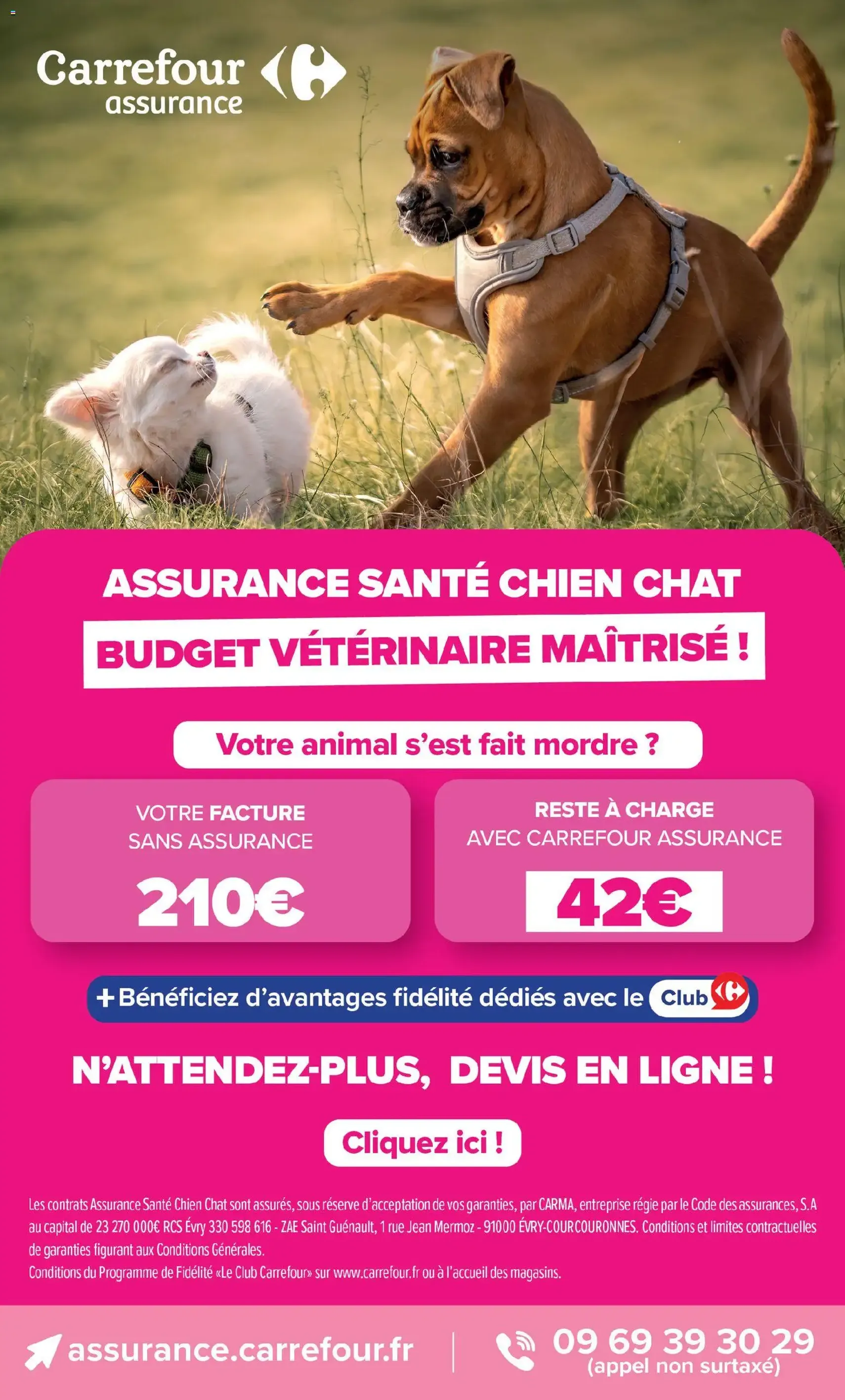 Carrefour catalogue - brochure valable à partir du 06/10/2026, page 75 sur 77