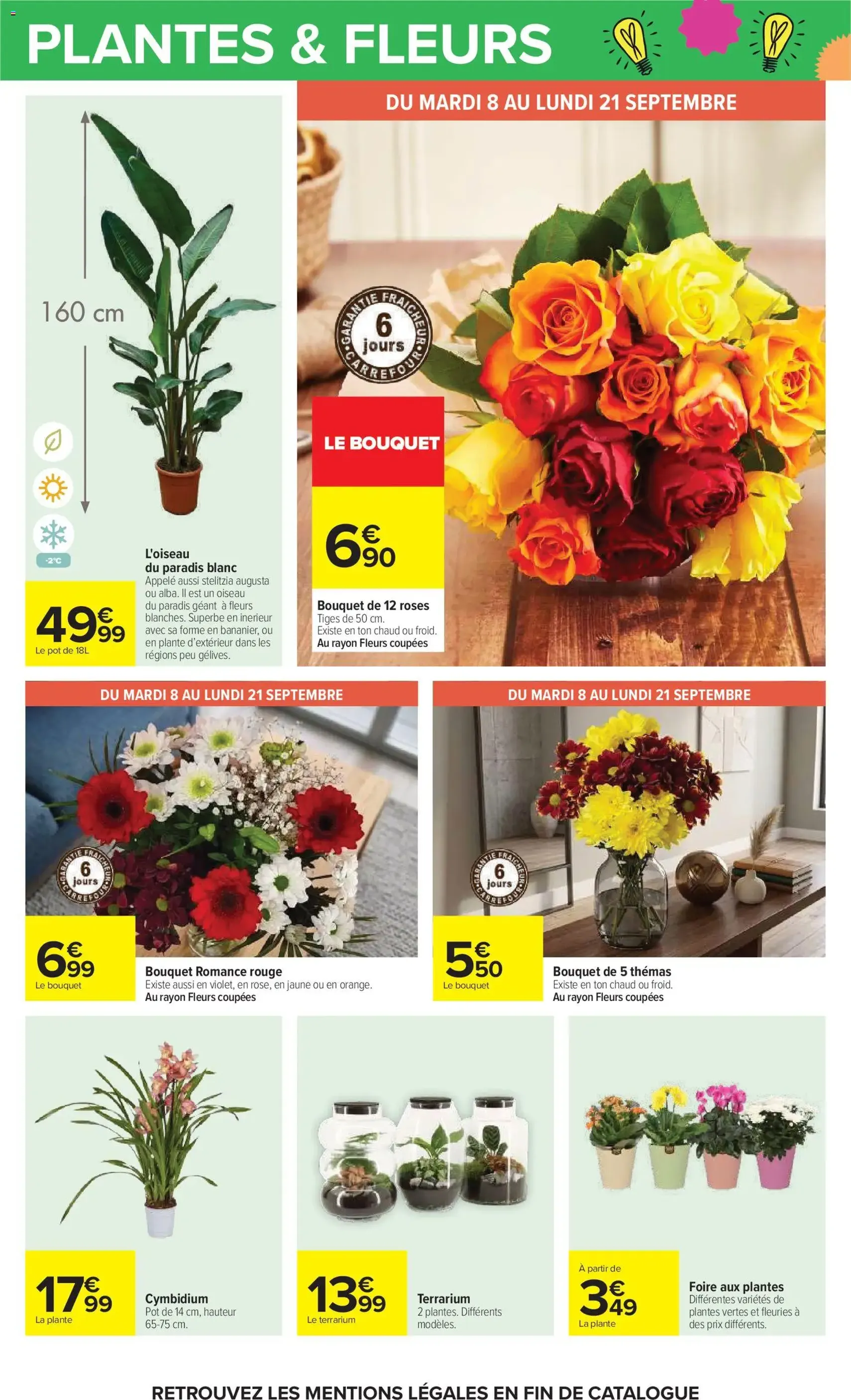 Carrefour catalogue - brochure valable à partir du 08/09/2026, page 63 sur 101