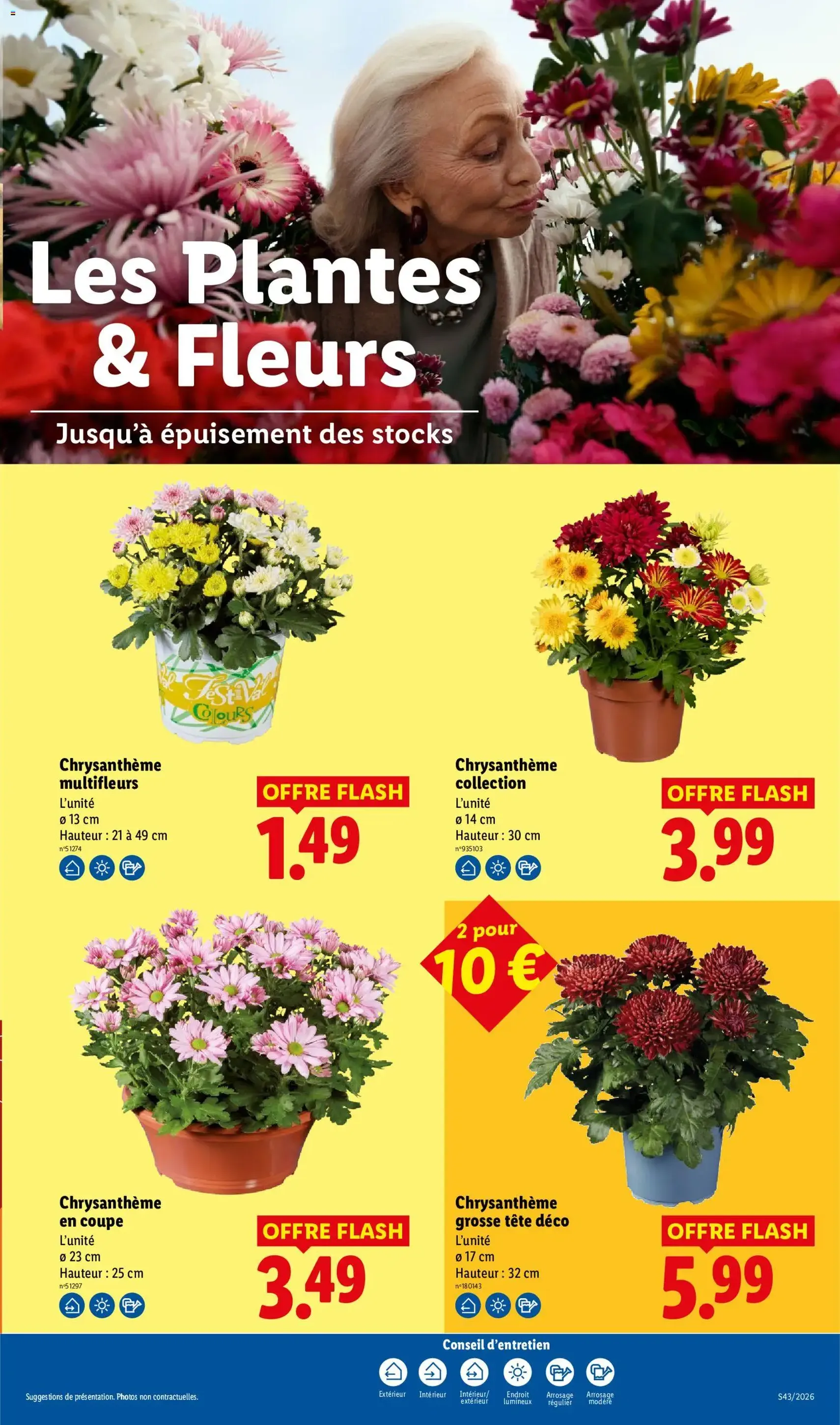 LIDL catalogue - brochure valable à partir du 22/10/2026, page 32 sur 66