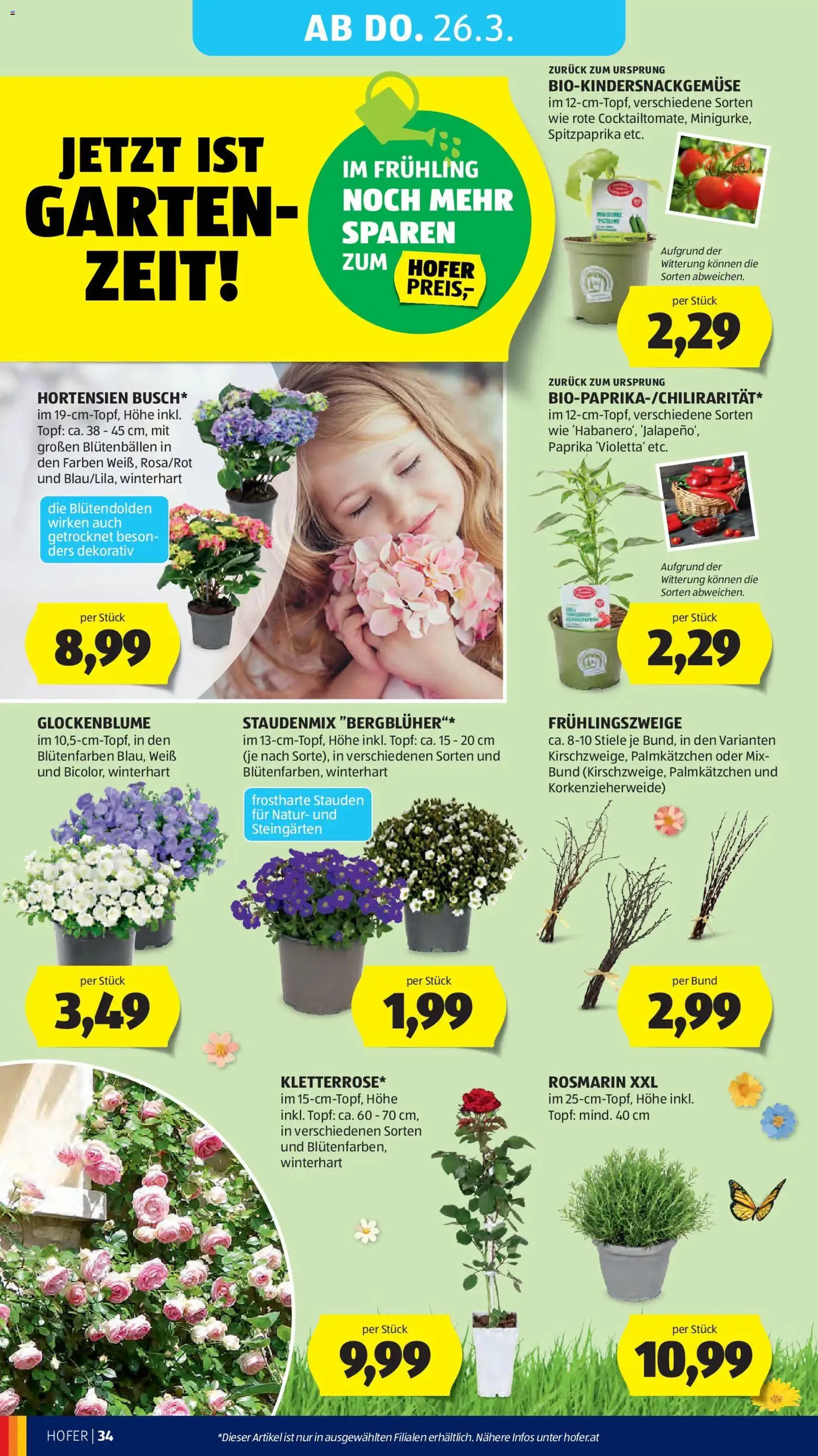 Hofer Flugblatt - Gültiger Prospekt ab 23.03.2026, Seite 42 von insgesamt 49