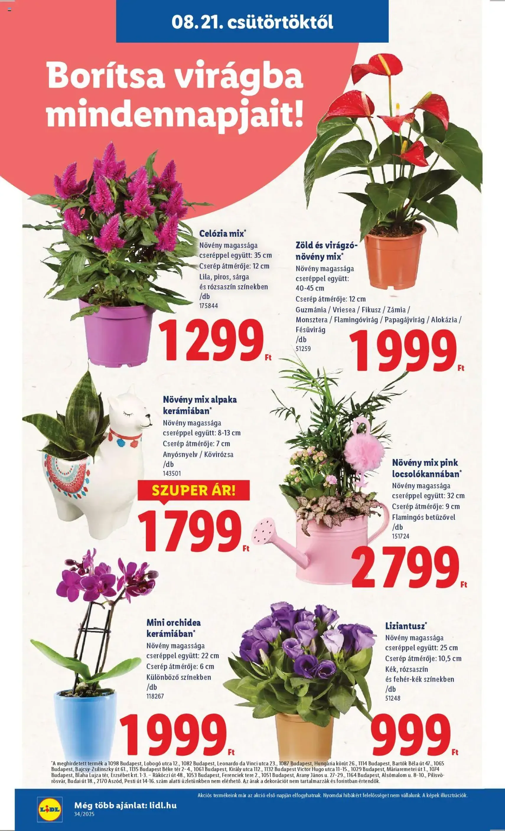 Lidl Akciós újság - 2025.08.21. érvényes szórólap 16 oldal 70 oldalból