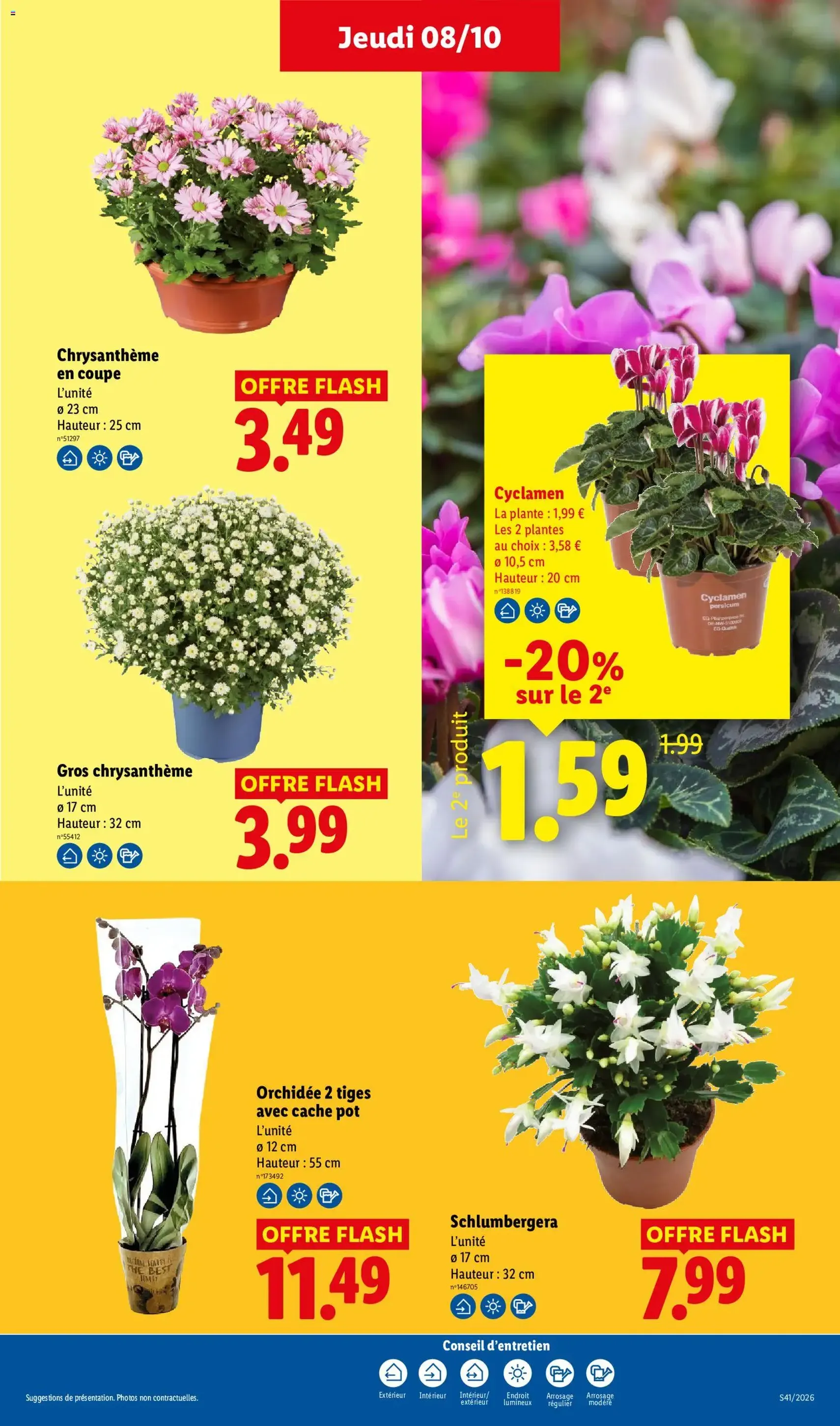 LIDL catalogue - brochure valable à partir du 08/10/2026, page 29 sur 61