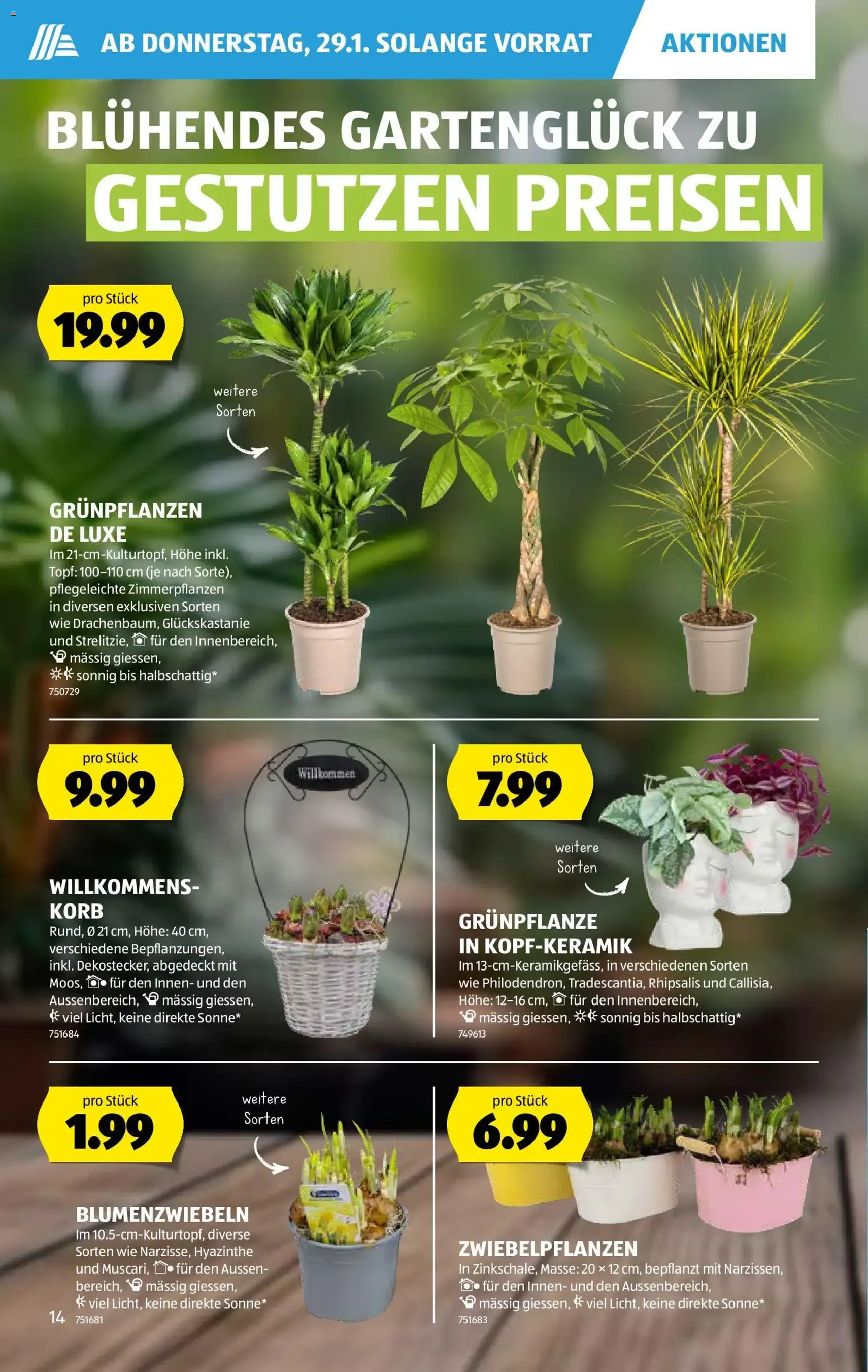 Aldi Aktionen - Gültiger Prospekt ab 29.01.2026, Seite 15 von insgesamt 28