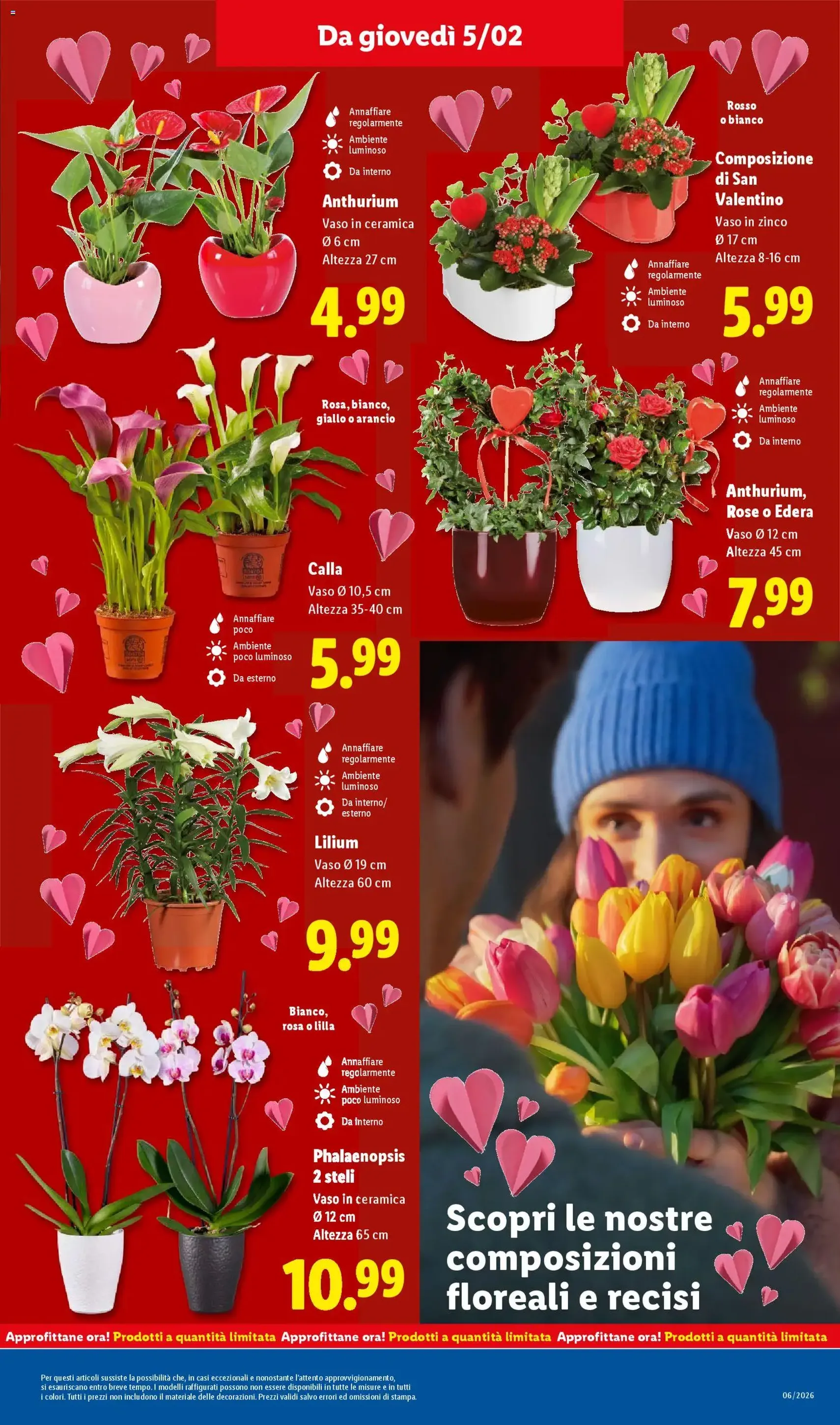 Volantino Lidl - volantino valido dal 02/02/2026 pagina 29 di 50