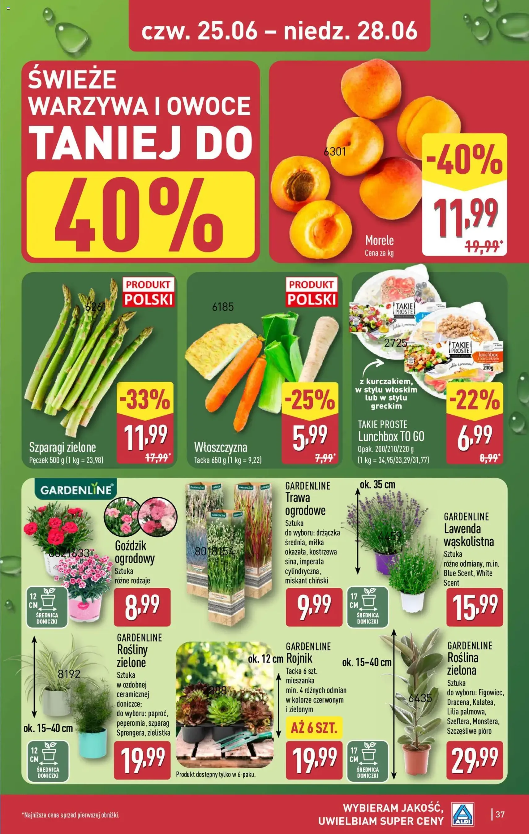 Aldi gazetka - ważny gazetka od 22.06.2026 strona 37 z 51