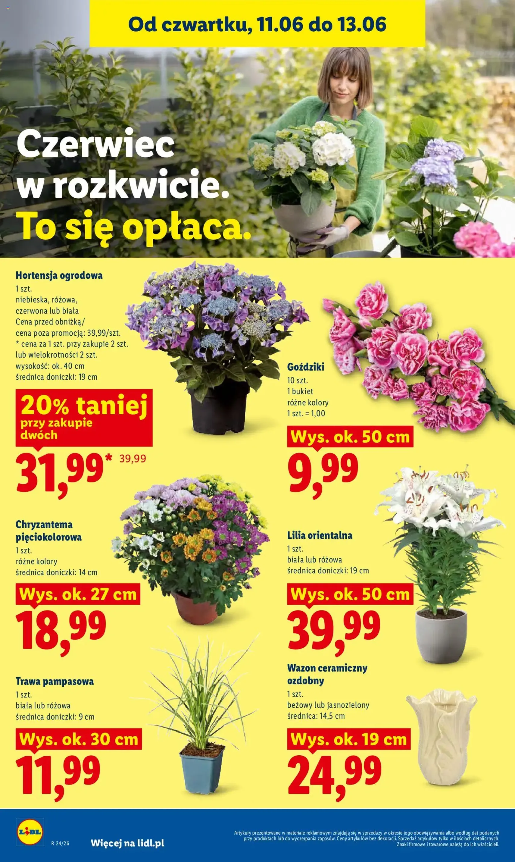 Lidl gazetka - ważny gazetka od 11.06.2026 strona 92 z 96