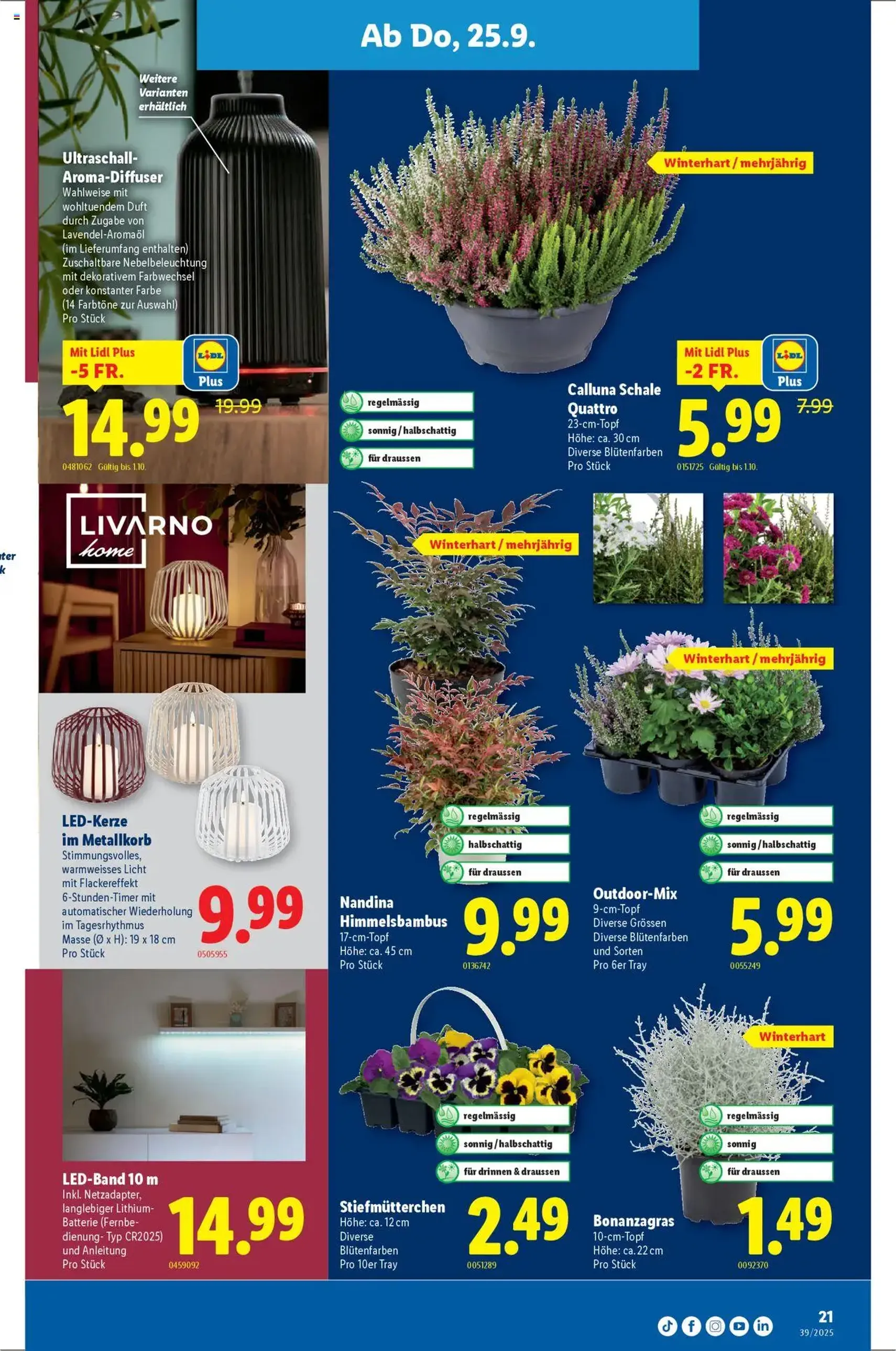 Lidl Aktionen - Gültiger Prospekt ab 25.09.2025, Seite 21 von insgesamt 32
