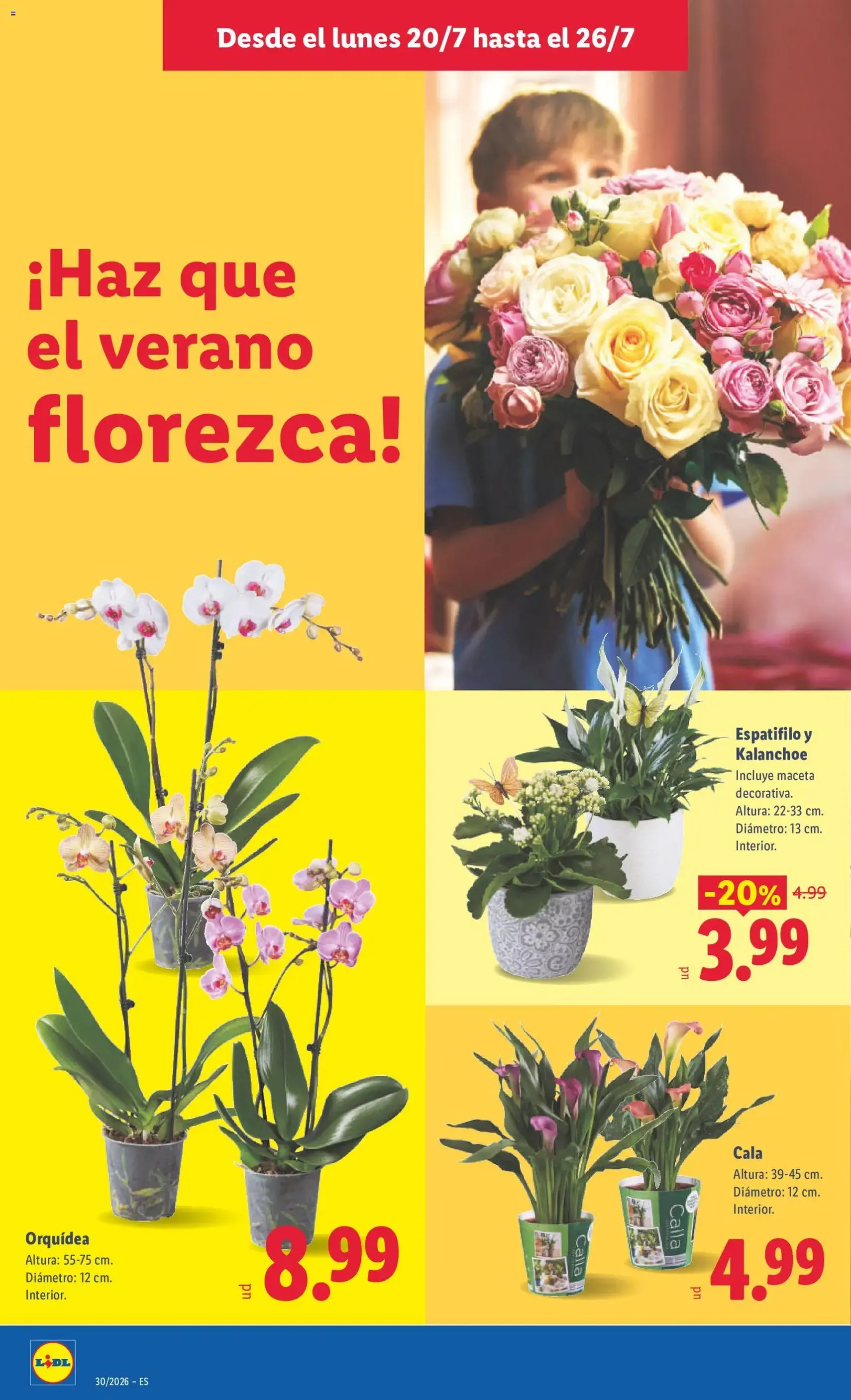 Lidl folleto - folleto válido desde 20/07/2026 página 48 de 51