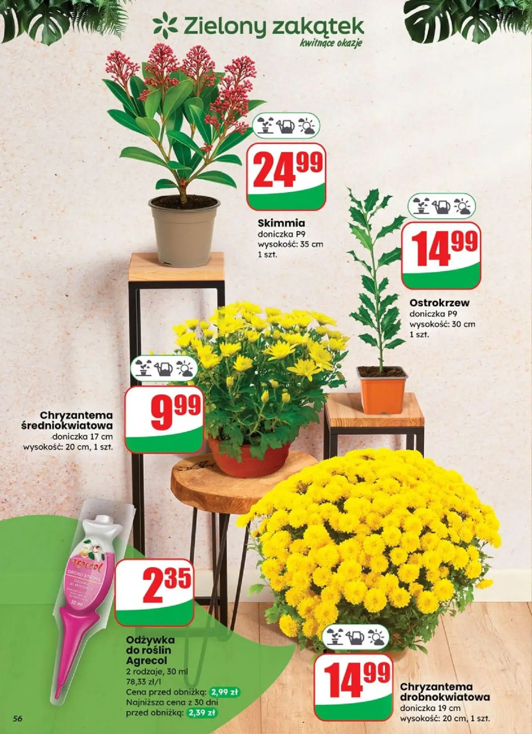 Dino Gazetka - ważny gazetka od 29.10.2025 strona 56 z 72