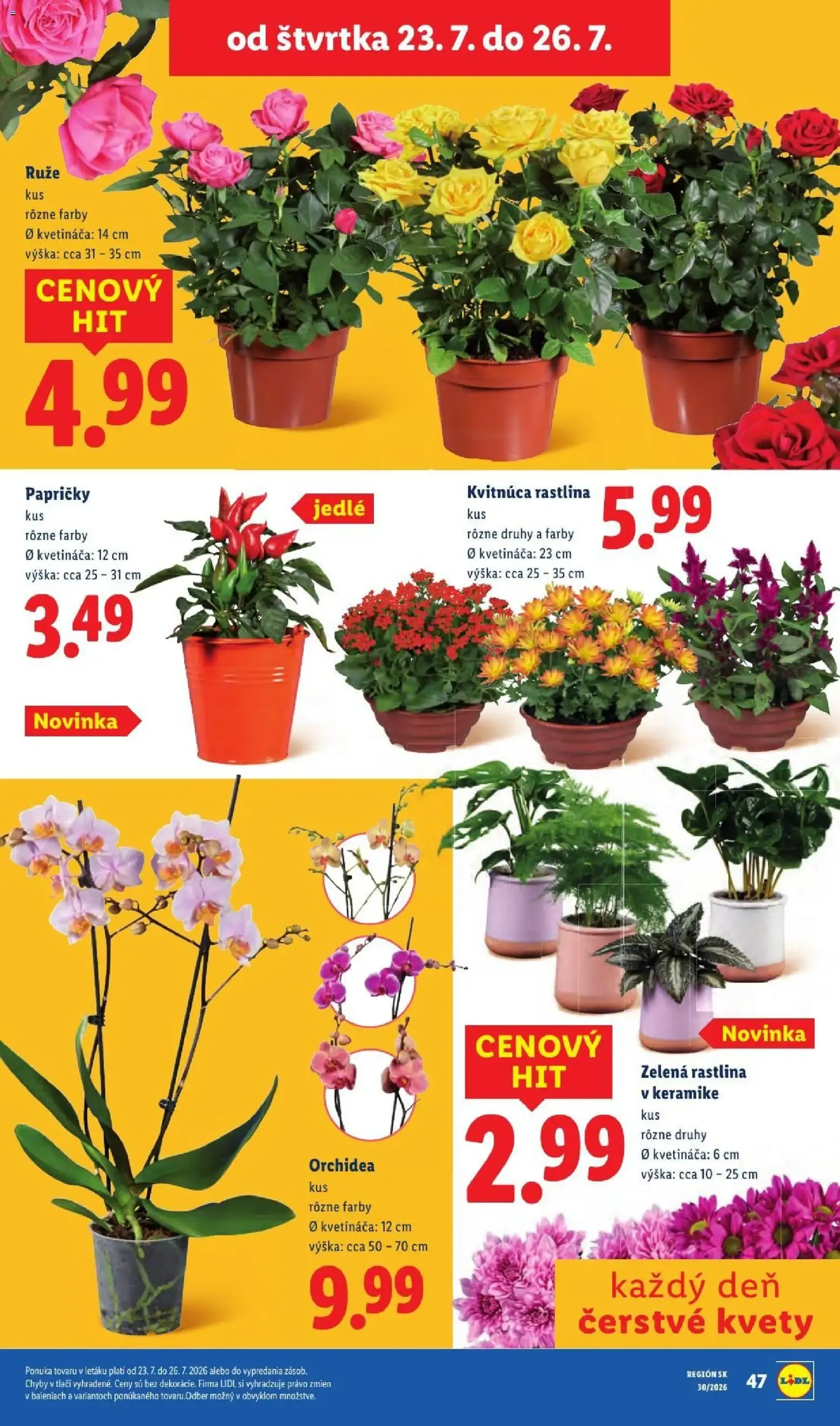 Lidl leták - platný leták od 20.07.2026 strana 91 z 108