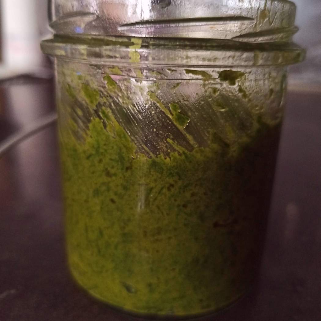 Pesto di aglio orsino
