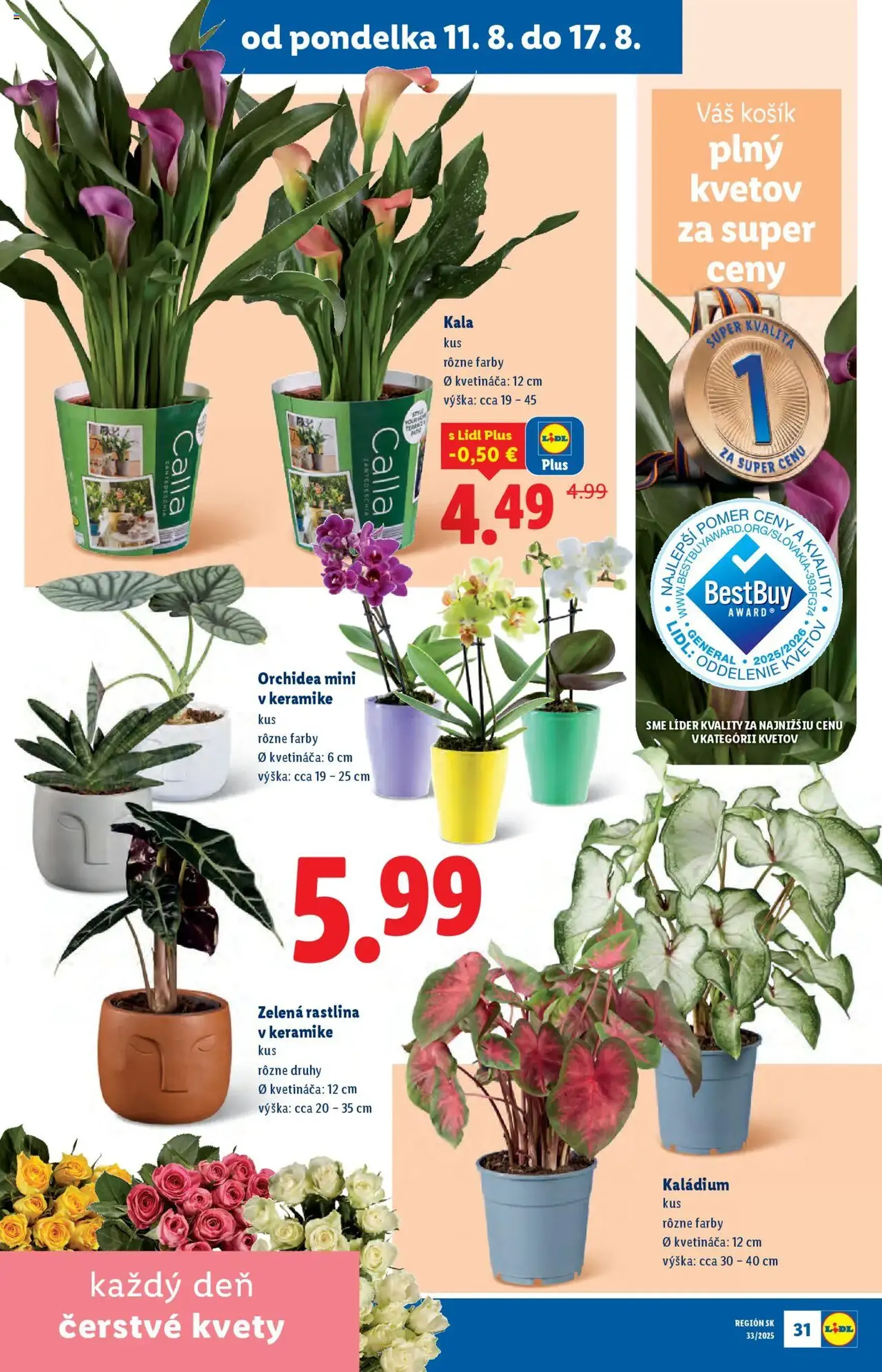 Lidl leták - platný leták od 11.08.2025 strana 33 z 93