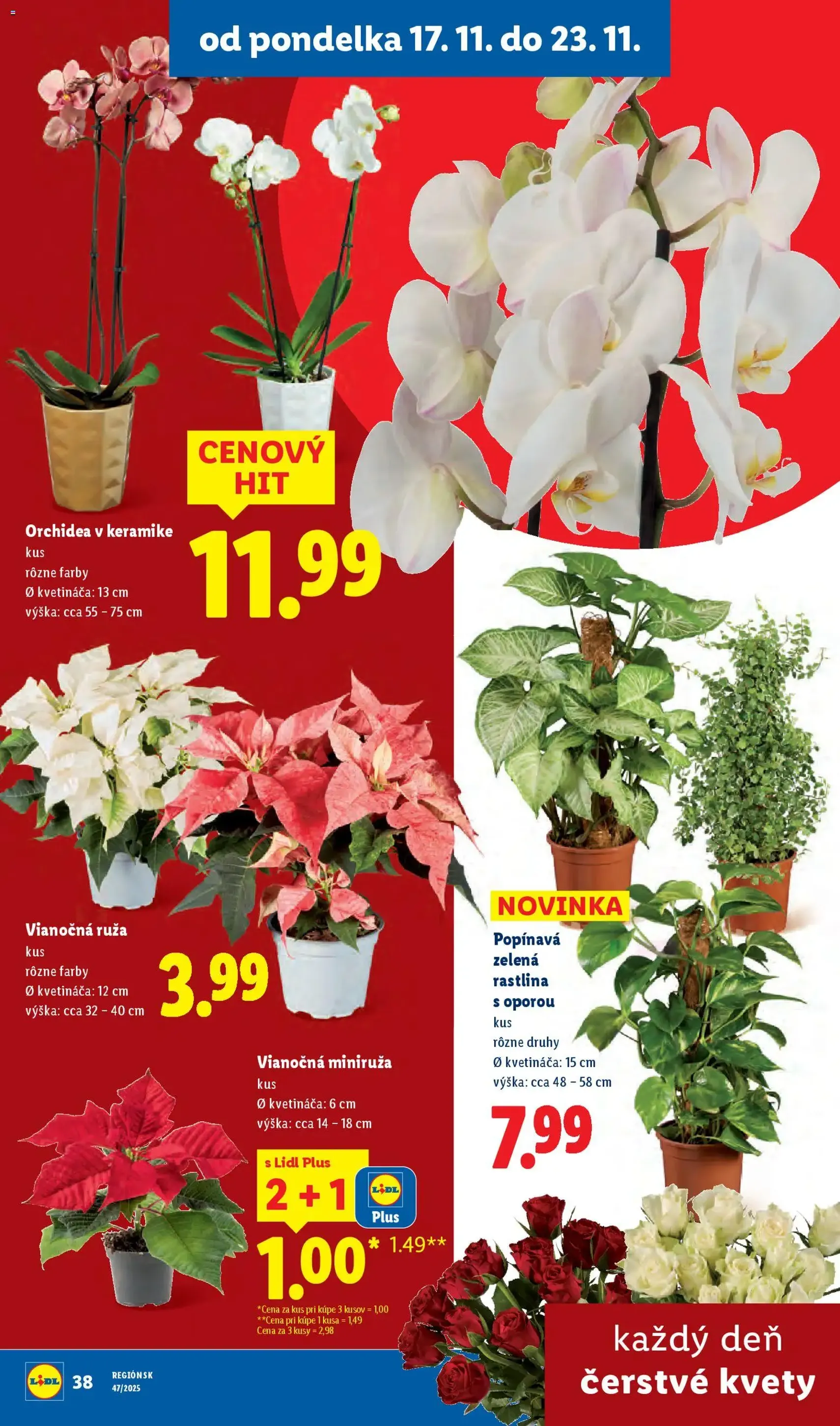 Lidl - Black Friday - platný leták od 17.11.2025 strana 55 z 99