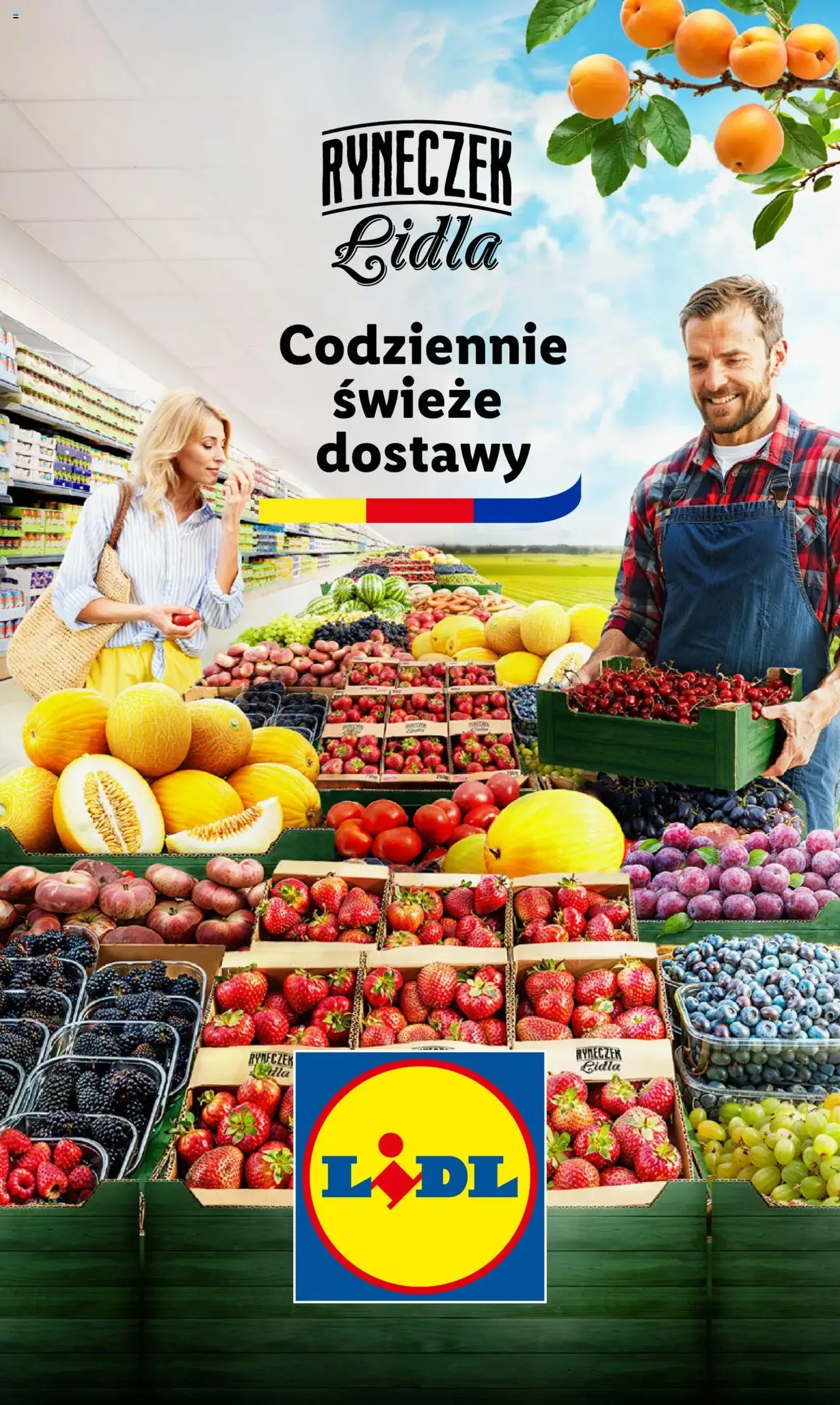 Lidl Gazetka - ważny gazetka od 21.07.2025 strona 15 z 62 Lidl Gazetka - ważny gazetka od 21.07.2025 strona 15 z 62