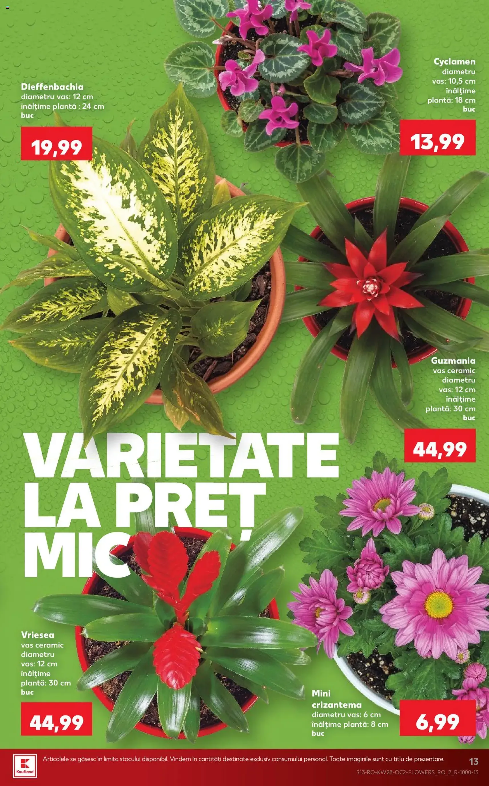 Kaufland Catalog - cataloage valabile începând cu 08.07.2026 pagina 13 din 66