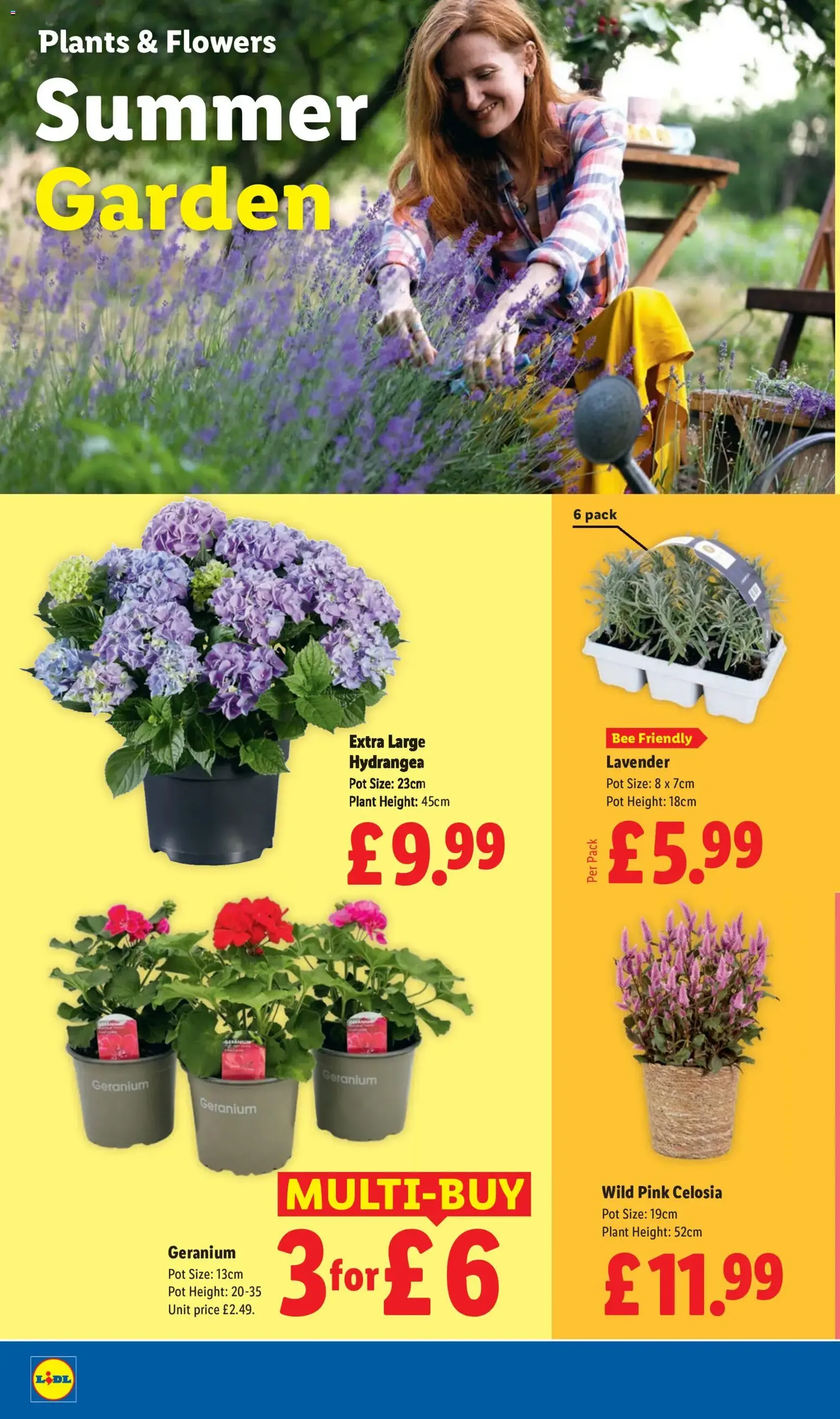 Weekly offers Lidl - valid flyer from 16/07/2026, page 22 of 28