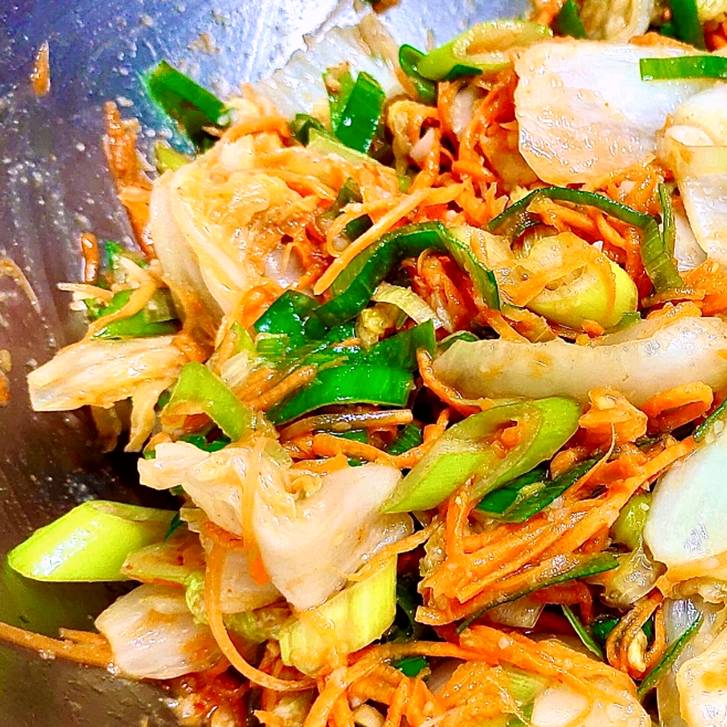 Insalata di kimchi cucina coreana