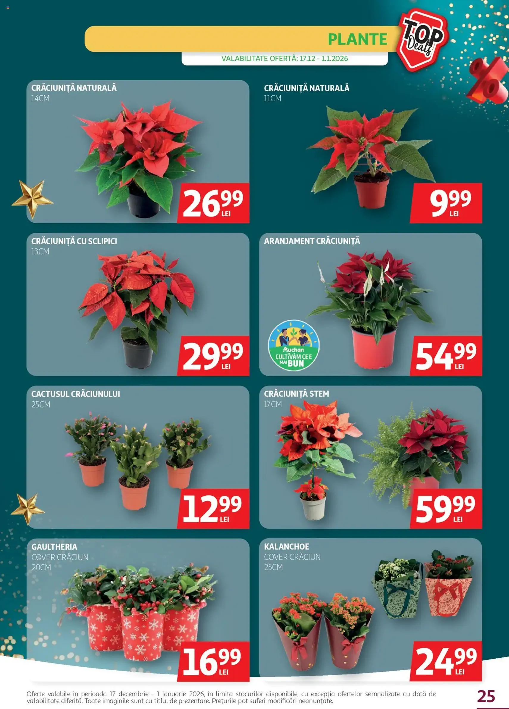 Catalog Auchan - cataloage valabile începând cu 17.12.2025 pagina 25 din 31