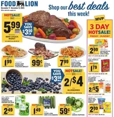 Food Lion Weekly Ad - Flyer preview valid from 12/03/2025
