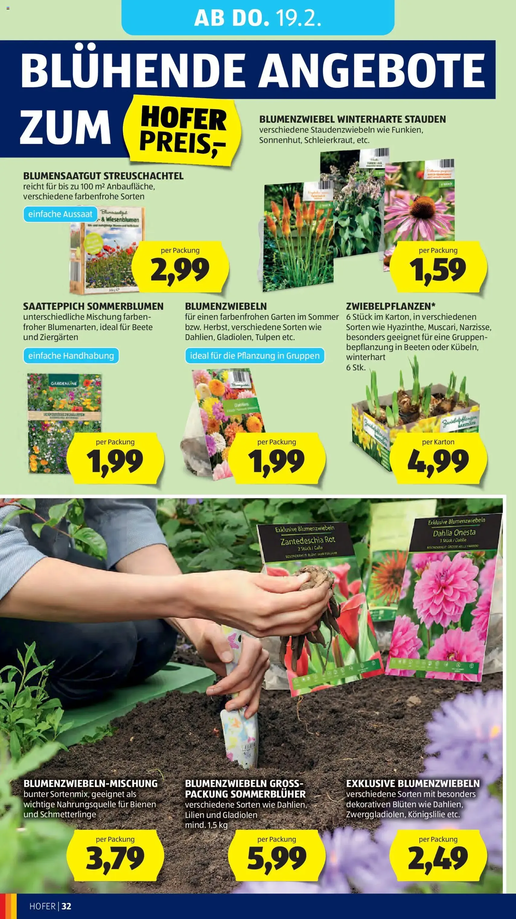 Hofer Flugblatt - Gültiger Prospekt ab 13.02.2026, Seite 36 von insgesamt 41