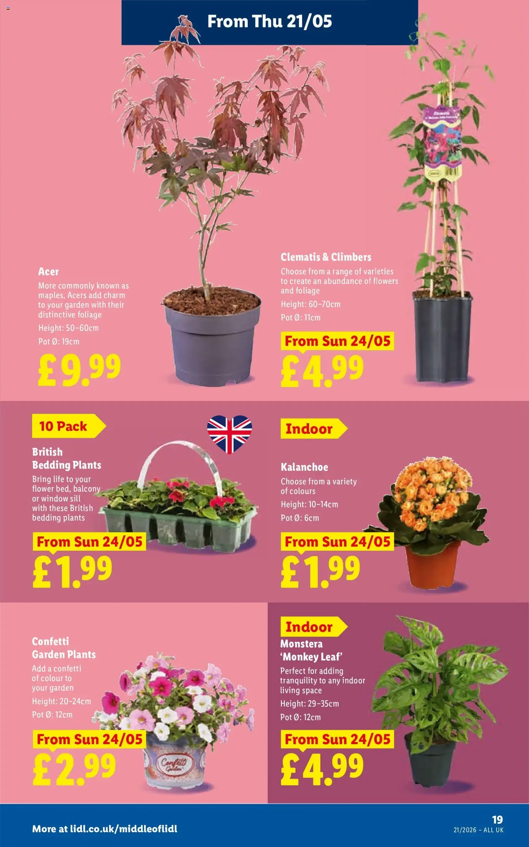 Lidl - Weekly - valid flyer from 21/05/2026, page 23 of 33