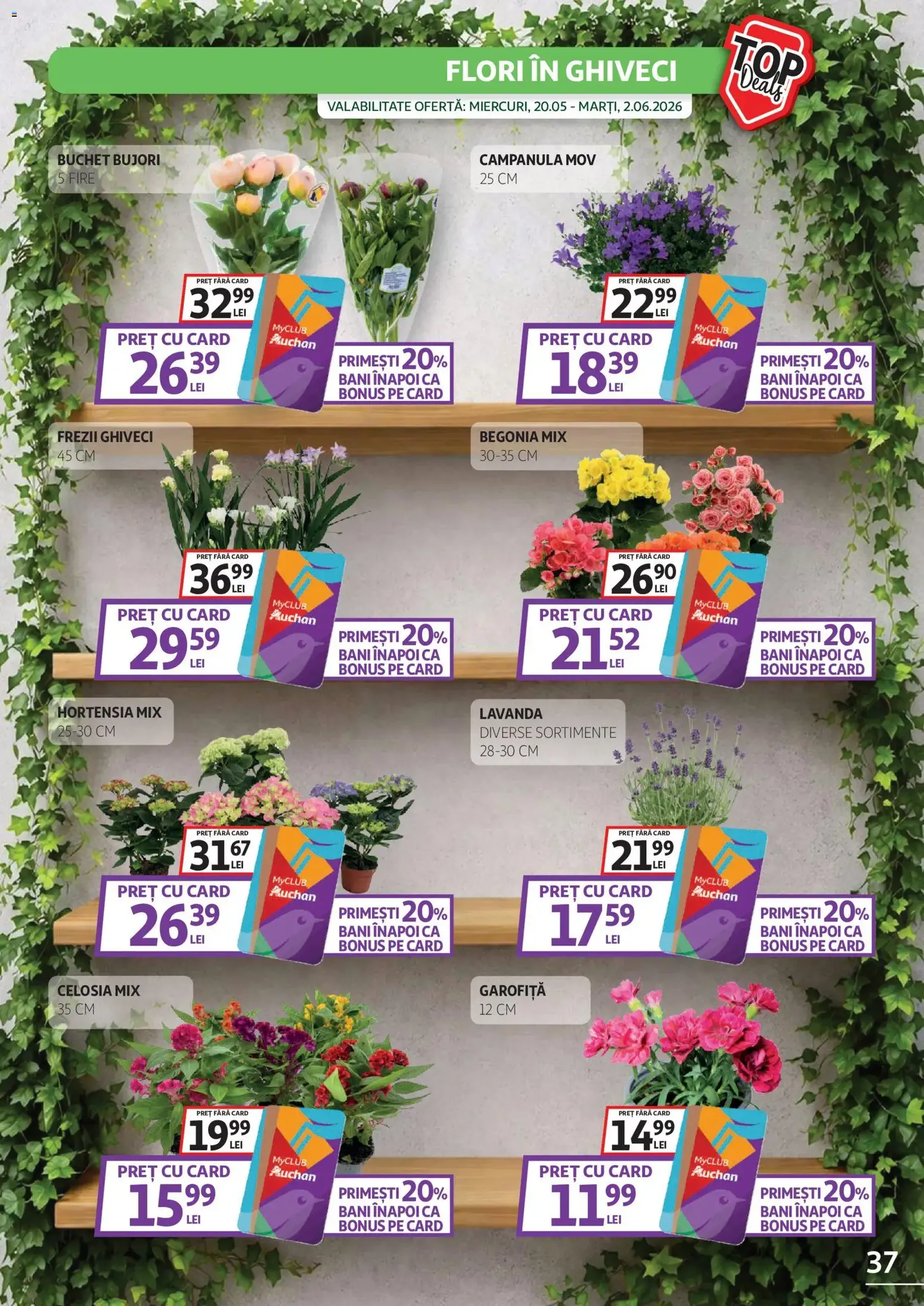 Auchan Catalog - cataloage valabile începând cu 20.05.2026 pagina 37 din 44