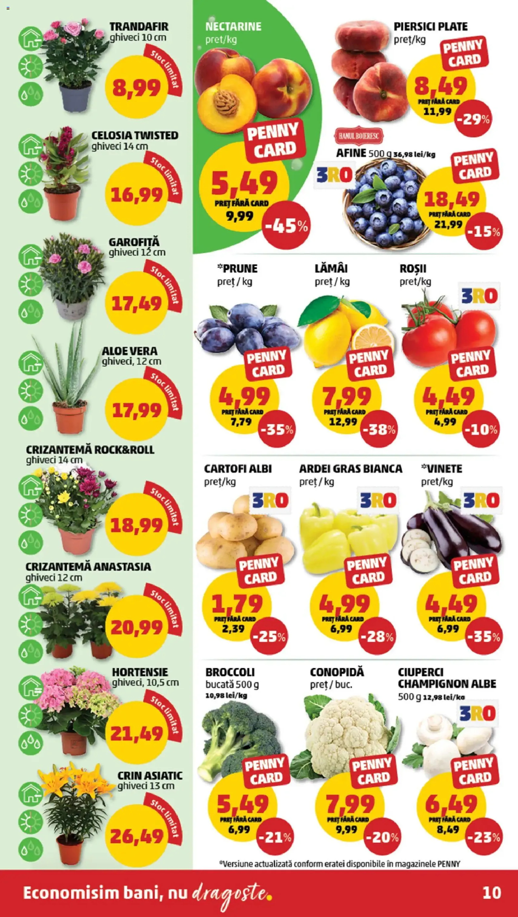 PENNY Catalog - cataloage valabile începând cu 05.08.2026 pagina 10 din 24