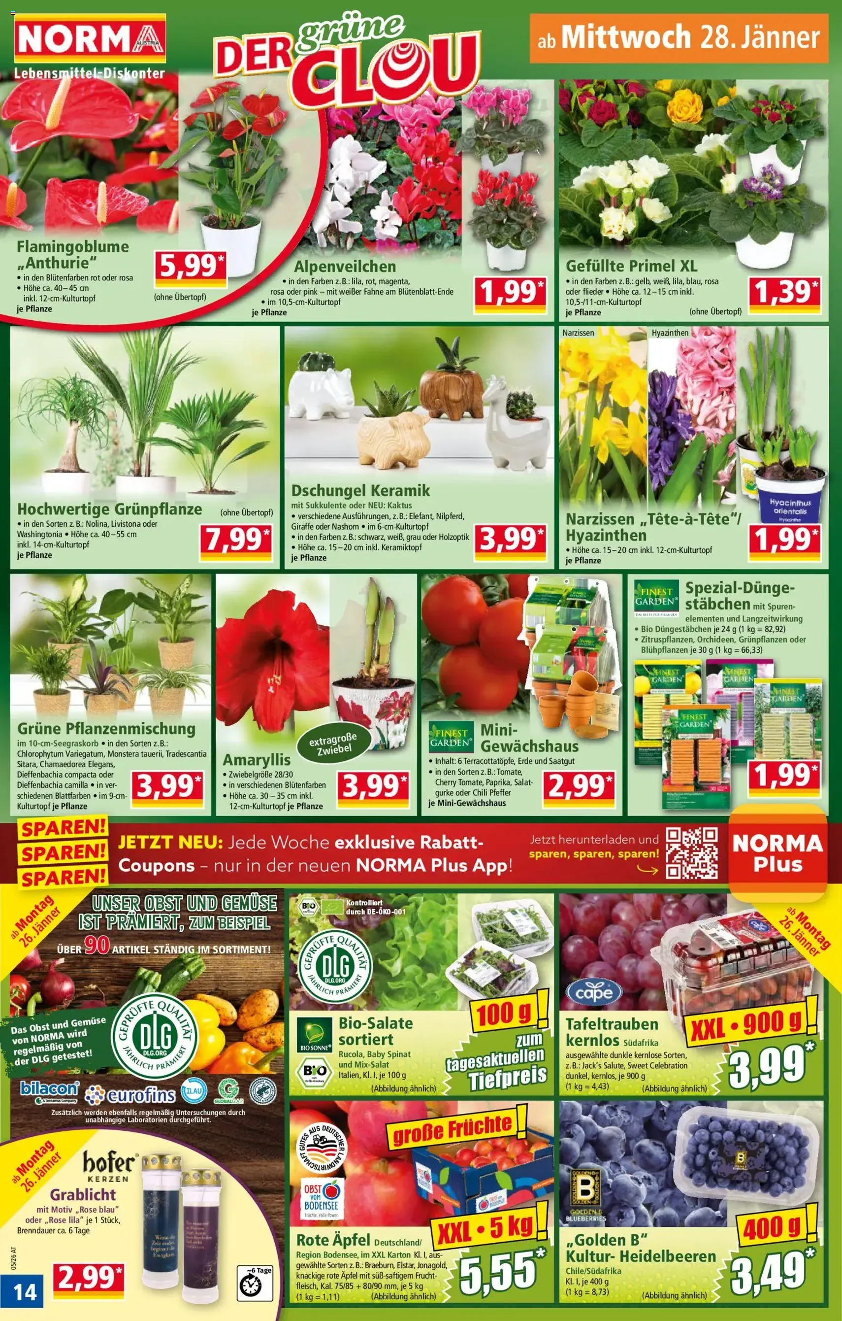 Norma Flugblatt - Gültiger Prospekt ab 26.01.2026, Seite 14 von insgesamt 20