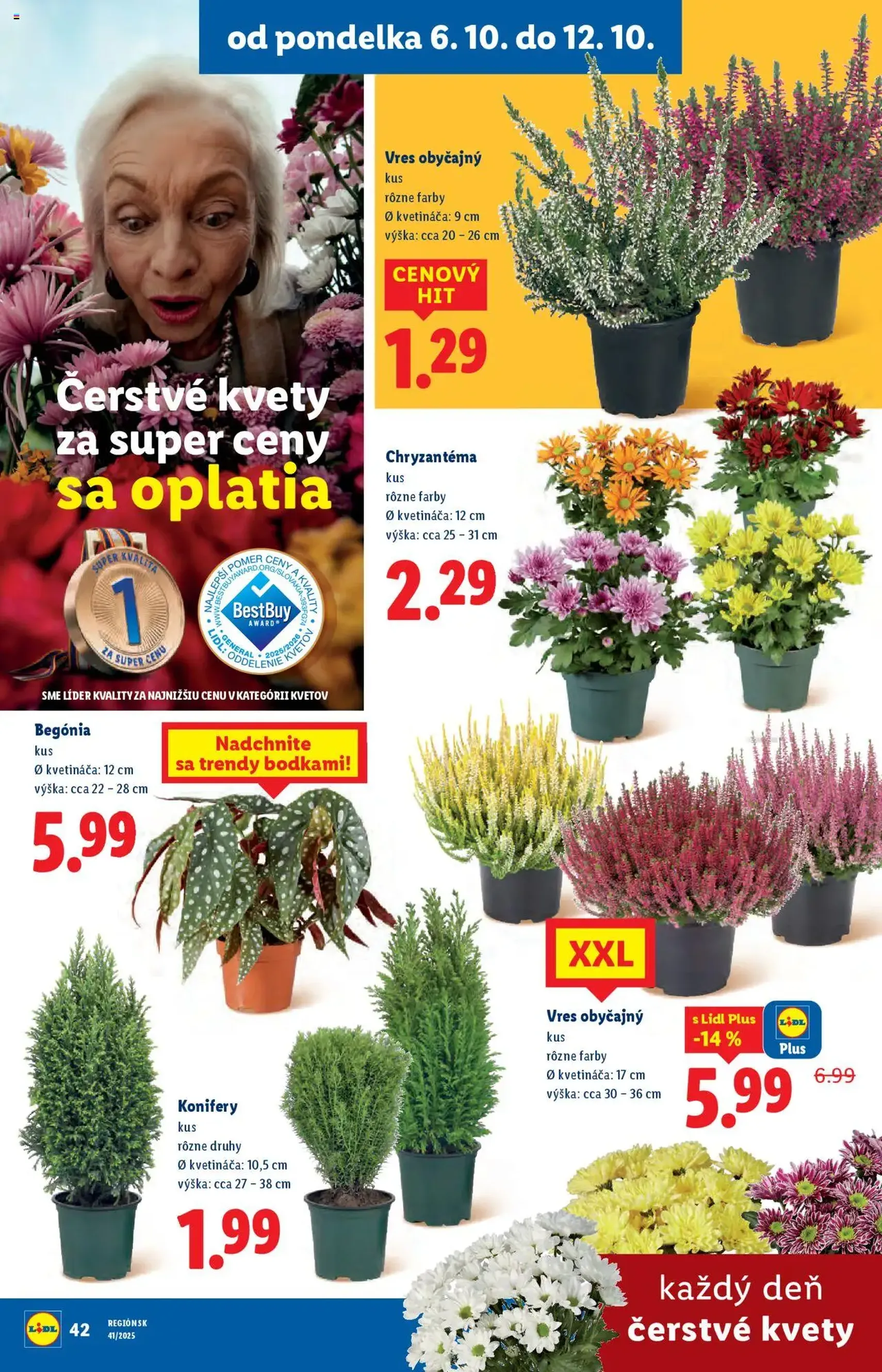 Lidl leták - platný leták od 06.10.2025 strana 55 z 108