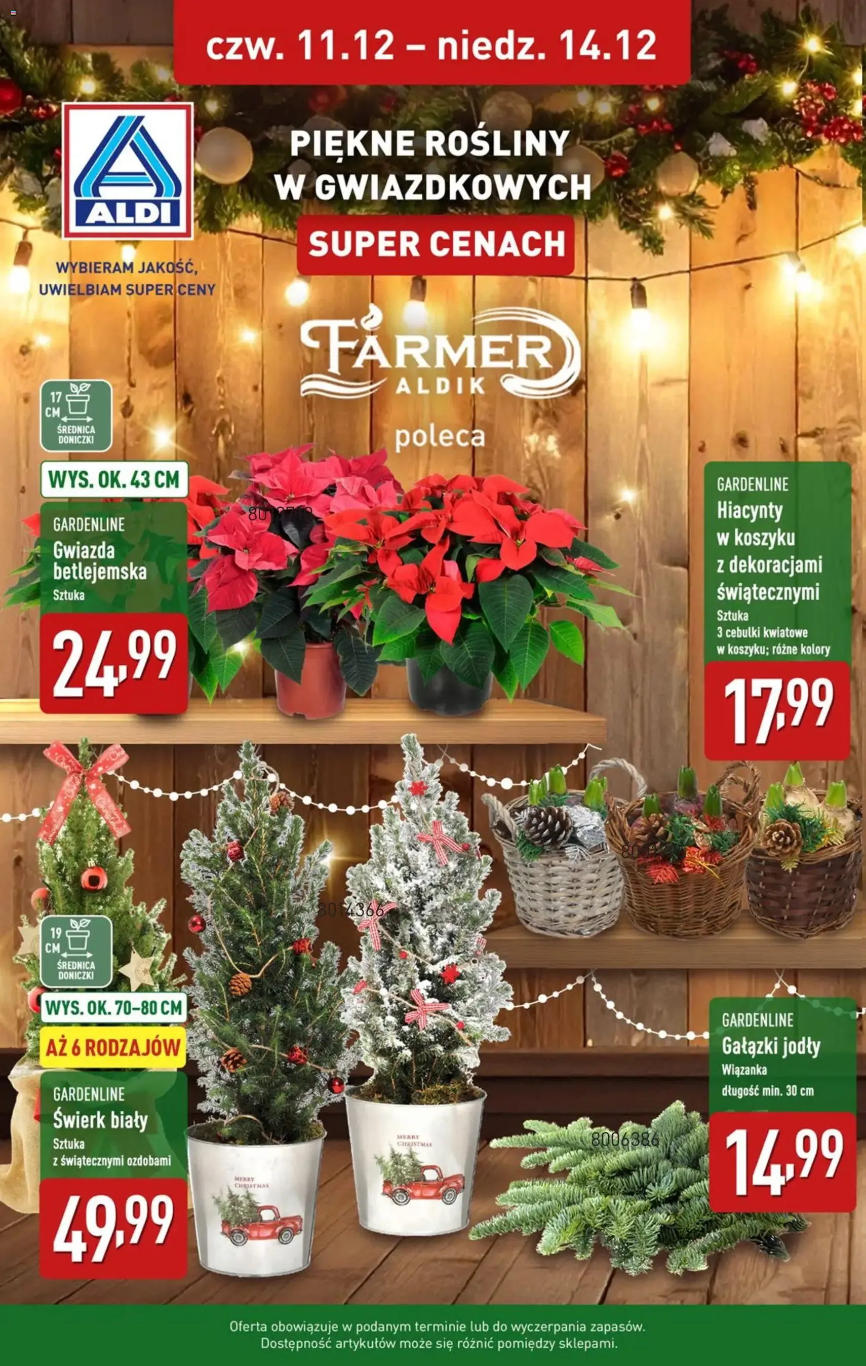 Aldi Gazetka - ważny gazetka od 08.12.2025 strona 38 z 52