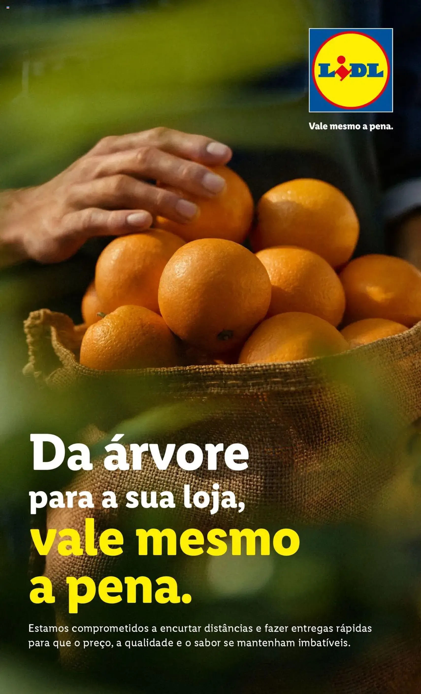 Lidl folheto - folheto válido a partir de 06/10/2025 página 3 de 52
