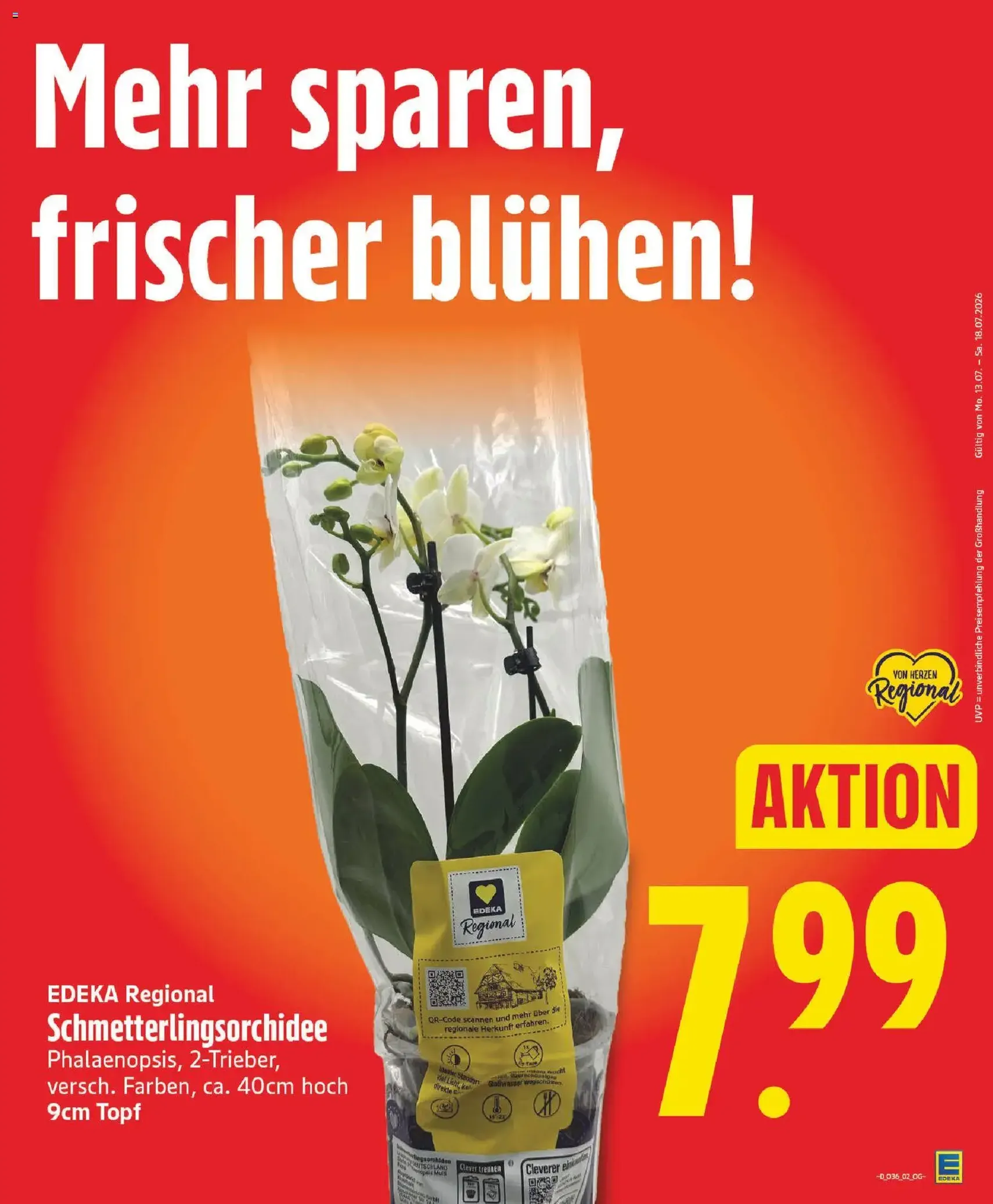 Edeka Prospekt - Gültiger Prospekt ab 31.08.2026, Seite 5 von insgesamt 30