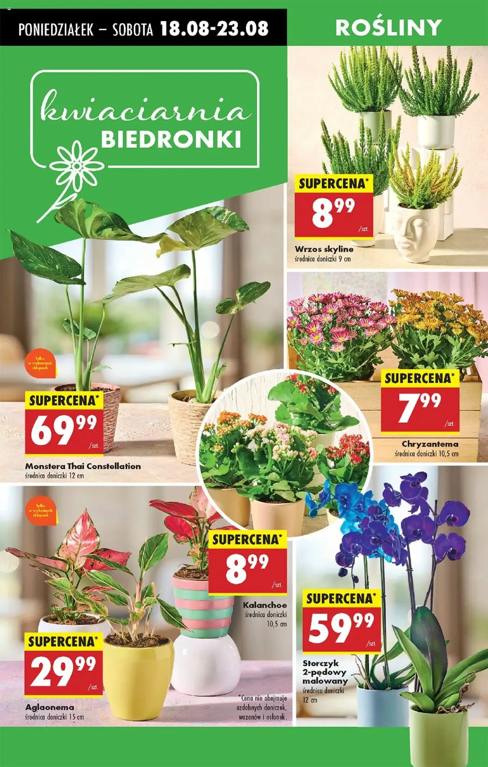 Biedronka gazetka - ważny gazetka od 18.08.2025 strona 69 z 80 Biedronka gazetka - ważny gazetka od 18.08.2025 strona 69 z 80