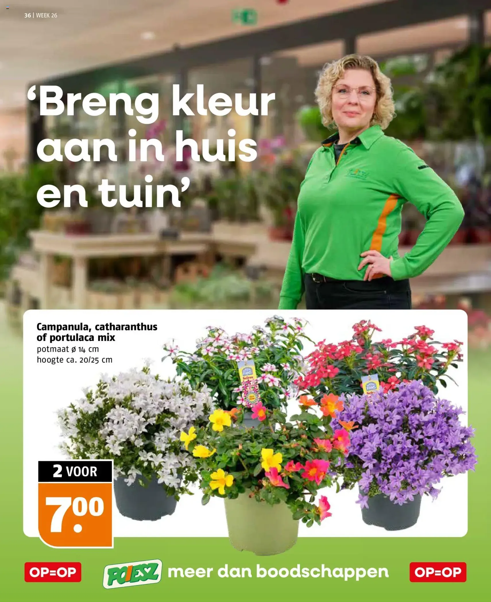 Poiesz folder - geldige folder vanaf 21-06-2026 pagina 36 van 41