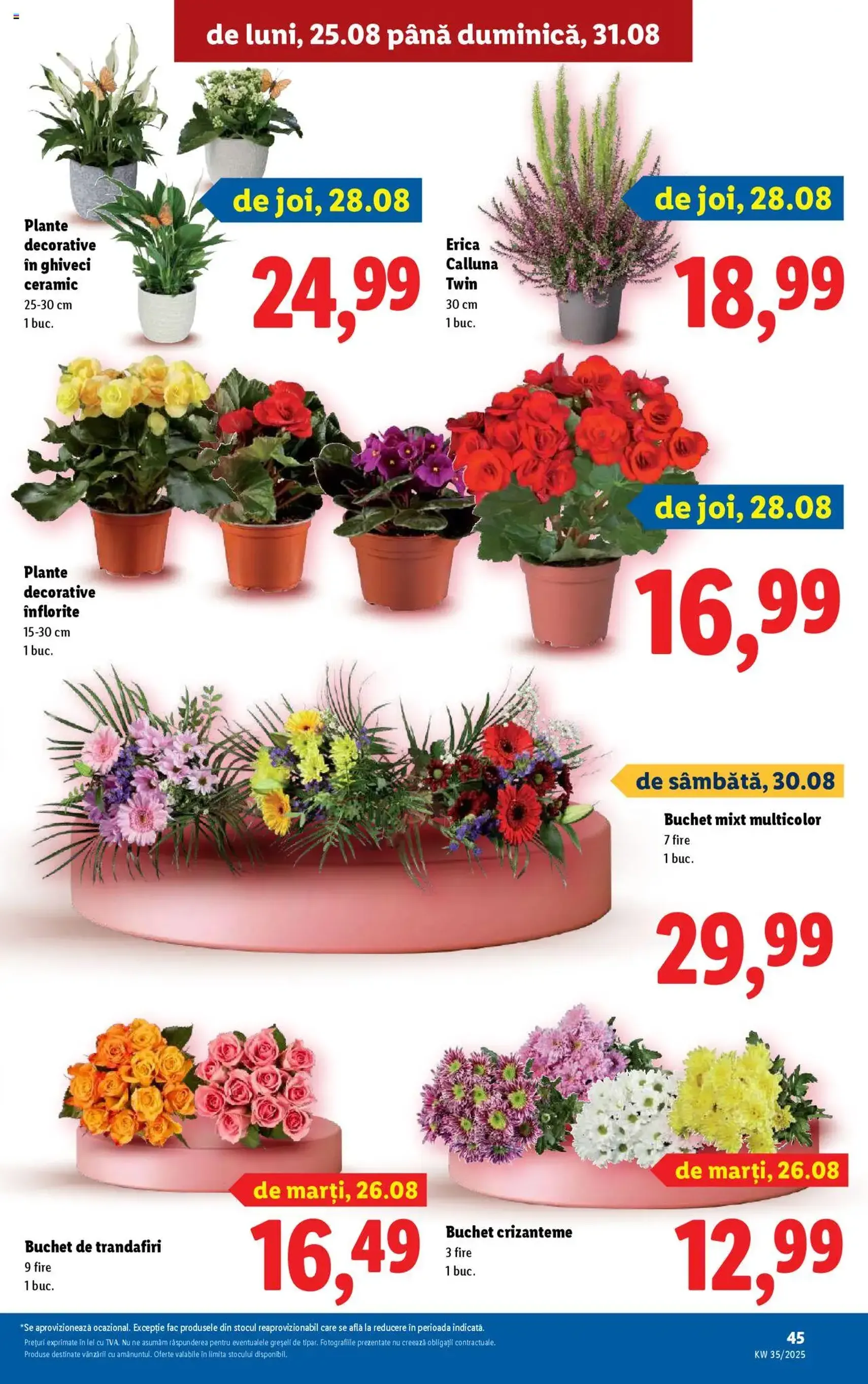 Catalog Lidl - cataloage valabile începând cu 25.08.2025 pagina 45 din 74 Catalog Lidl - cataloage valabile începând cu 25.08.2025 pagina 45 din 74