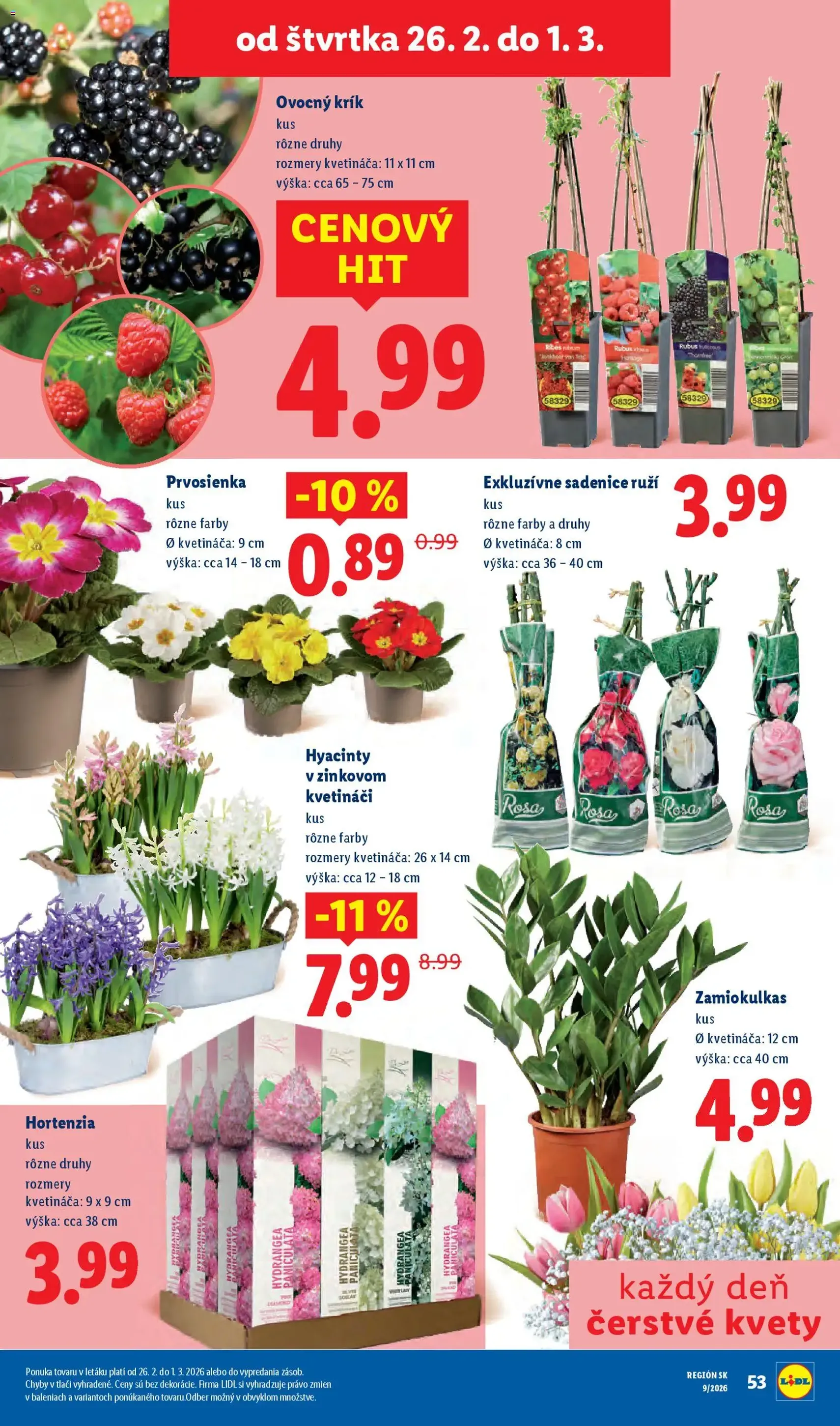 Lidl leták - platný leták od 23.02.2026 strana 89 z 96