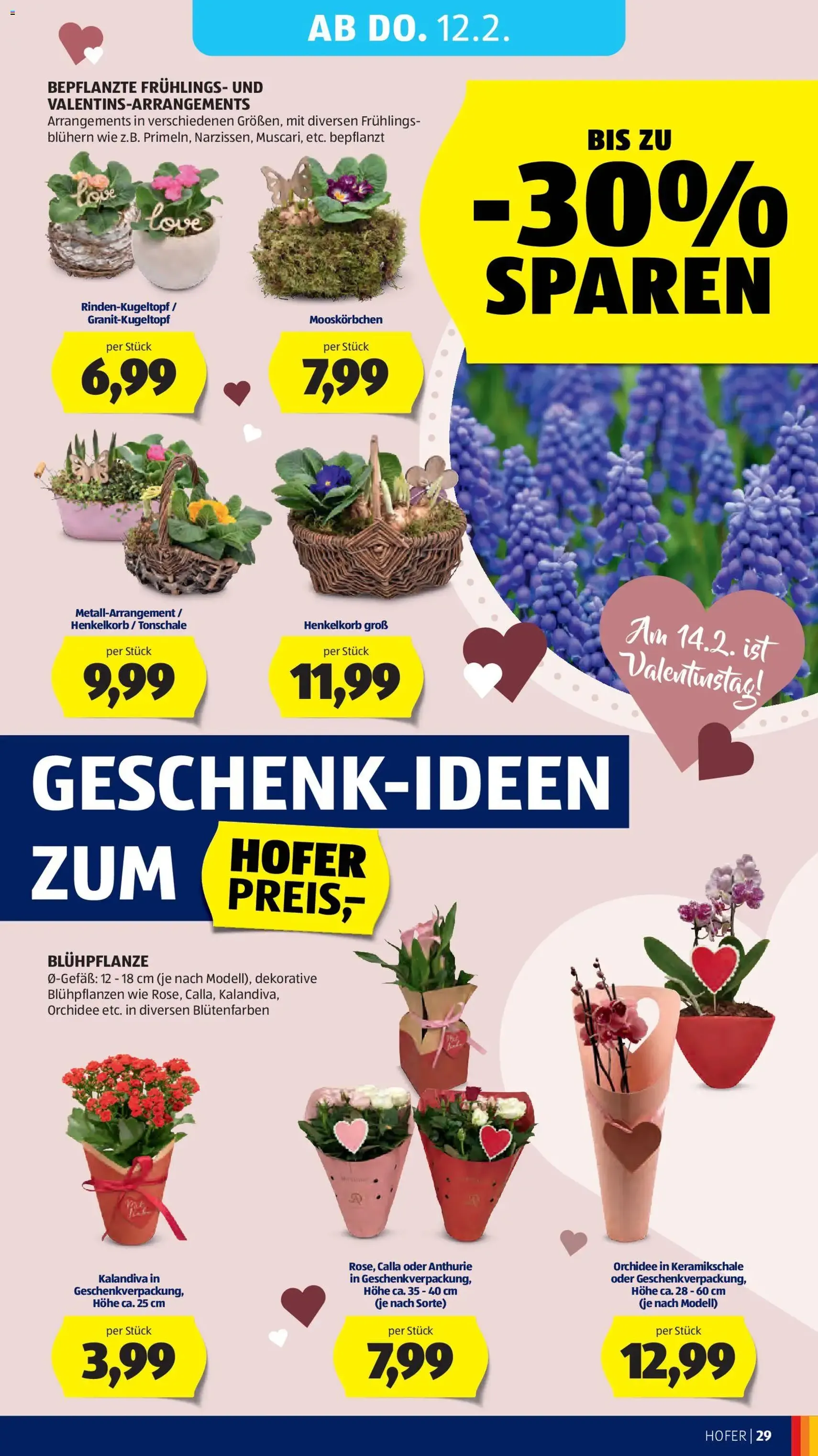 Hofer Flugblatt - Gültiger Prospekt ab 06.02.2026, Seite 33 von insgesamt 43