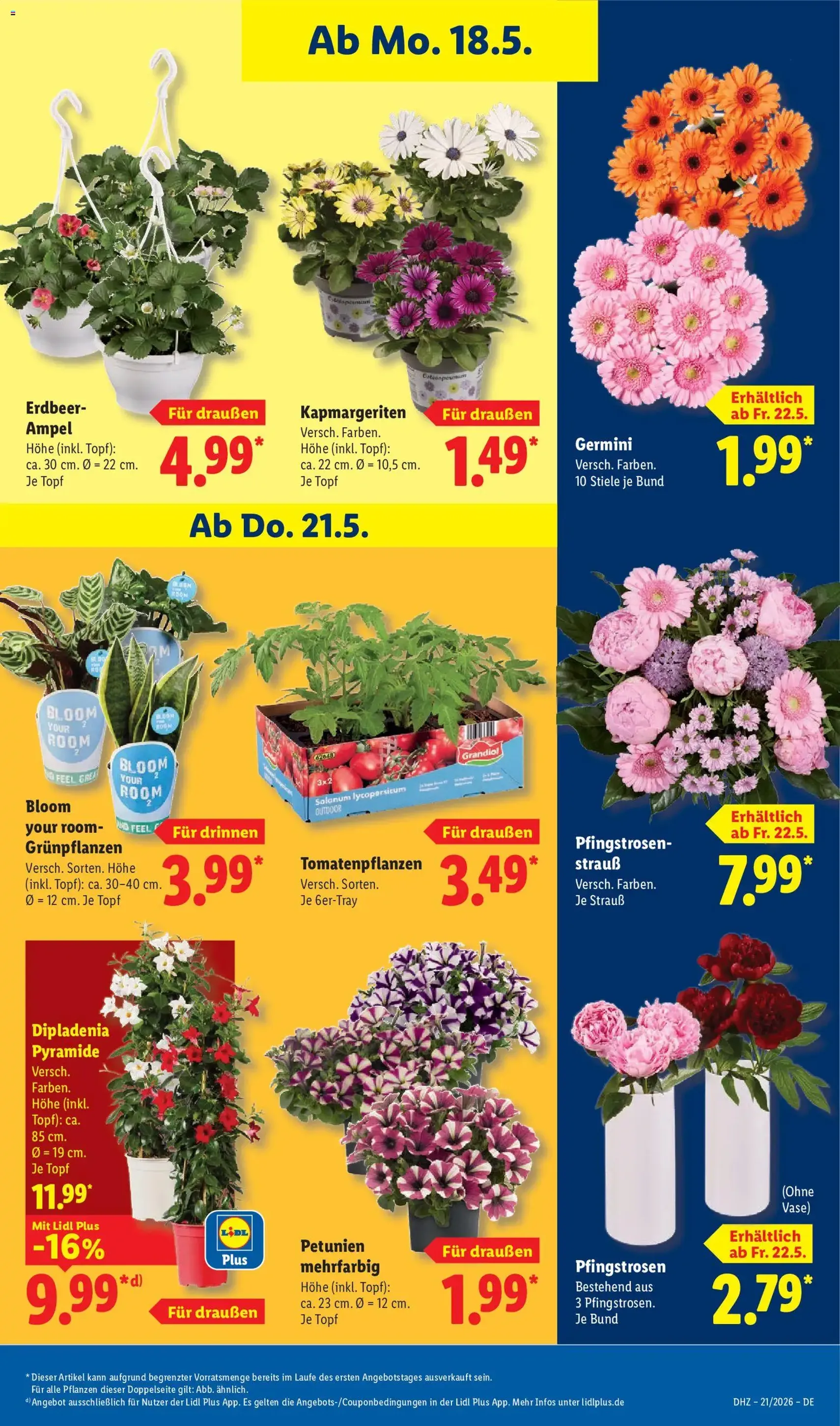 Lidl Prospekt - Gültiger Prospekt ab 18.05.2026, Seite 71 von insgesamt 71