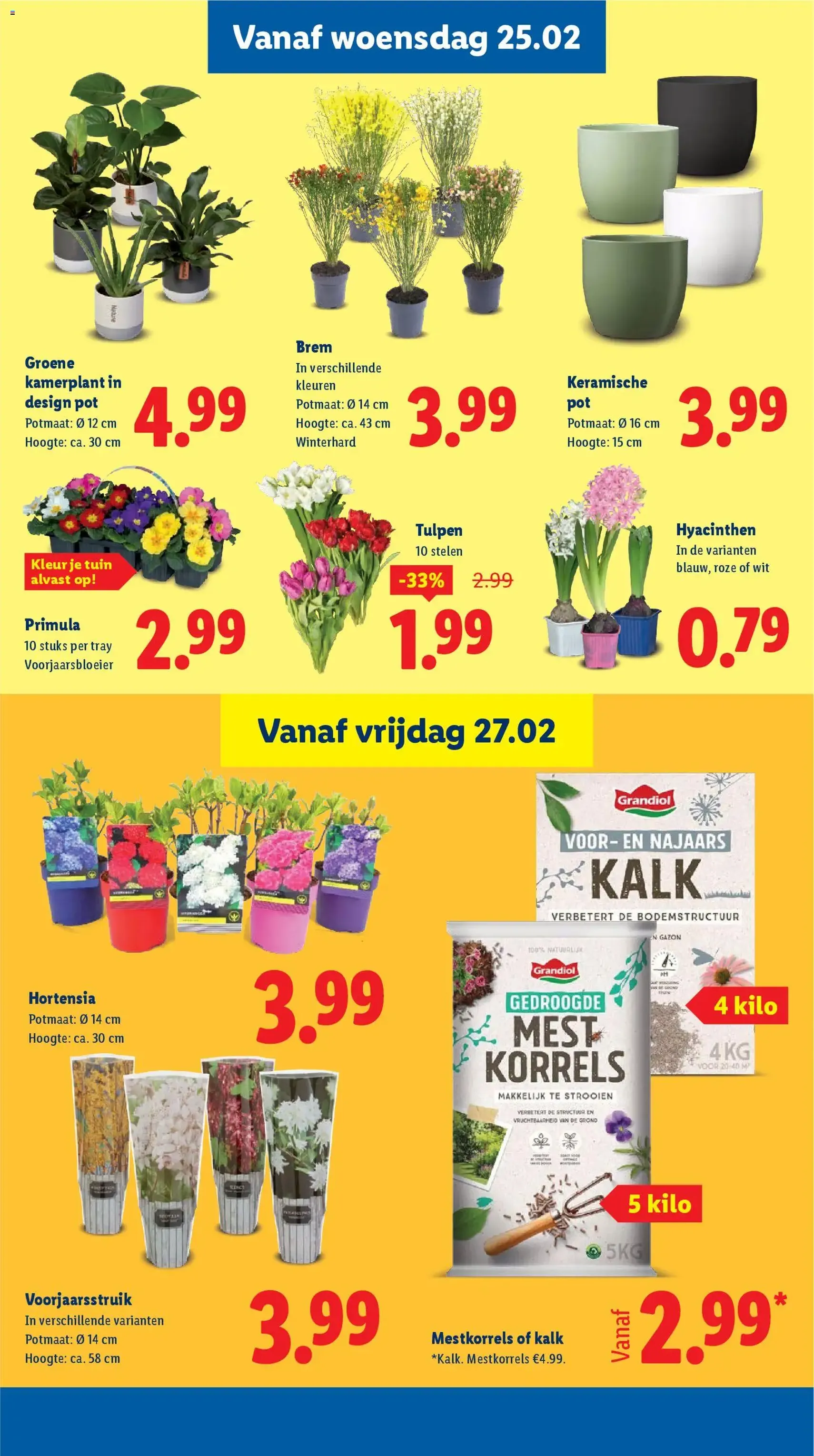Lidl - Folder week 9 - geldige folder vanaf 23-02-2026 pagina 17 van 39