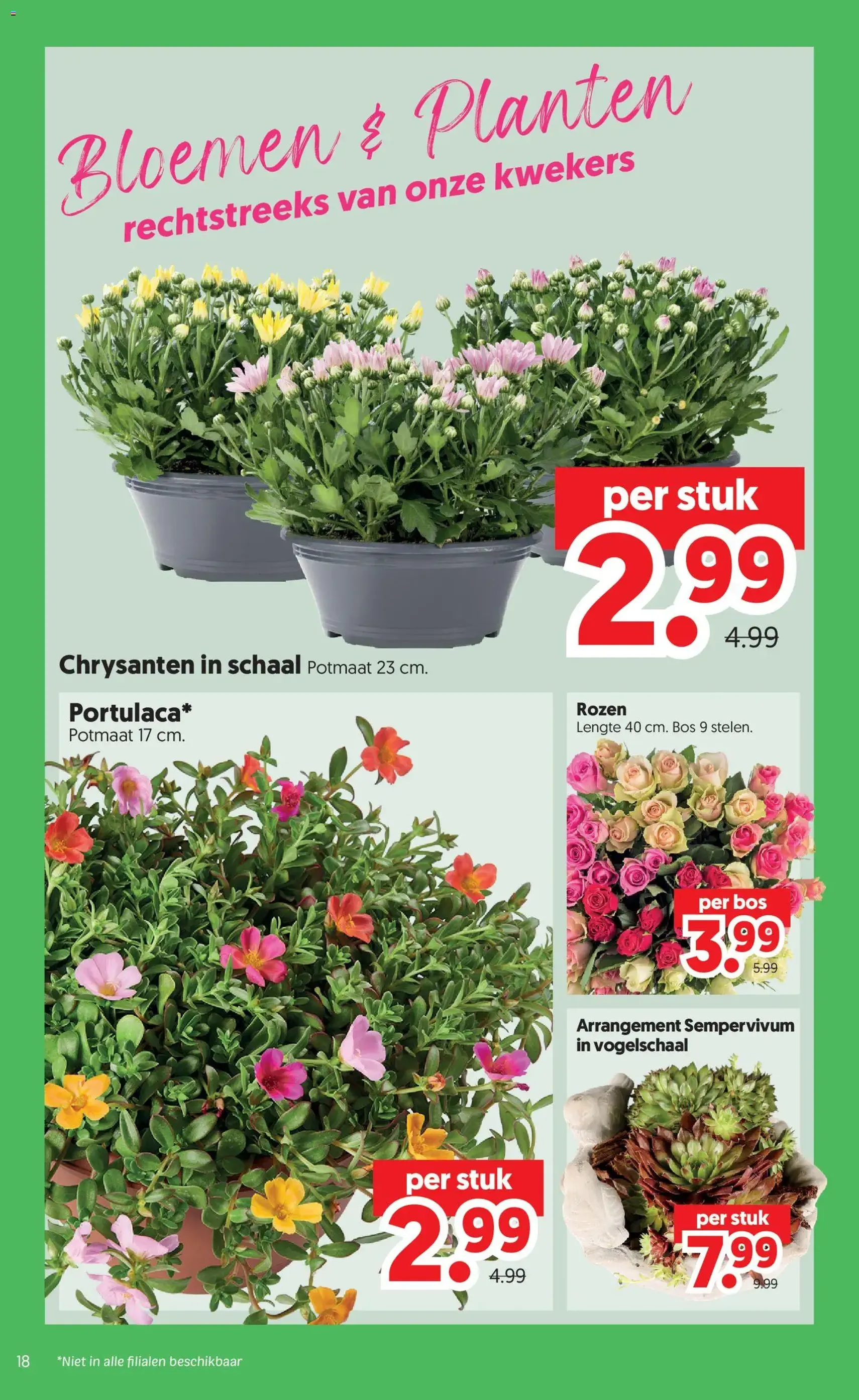 Dekamarkt folder - geldige folder vanaf 28-07-2026 pagina 18 van 22